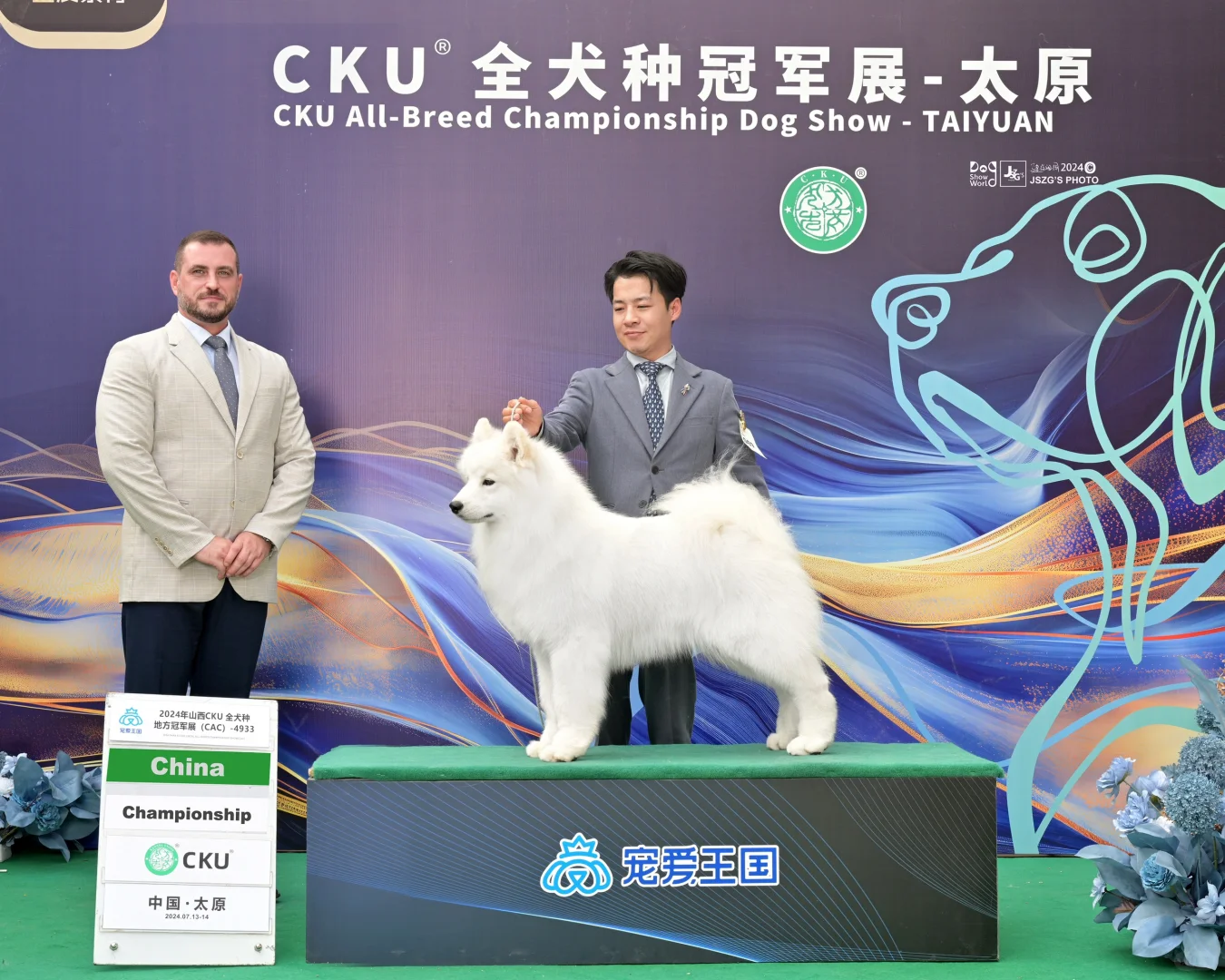 太原CKU： 刚满一岁的萨摩耶男孩“粽子”，首次参加比赛。共报名5场比...