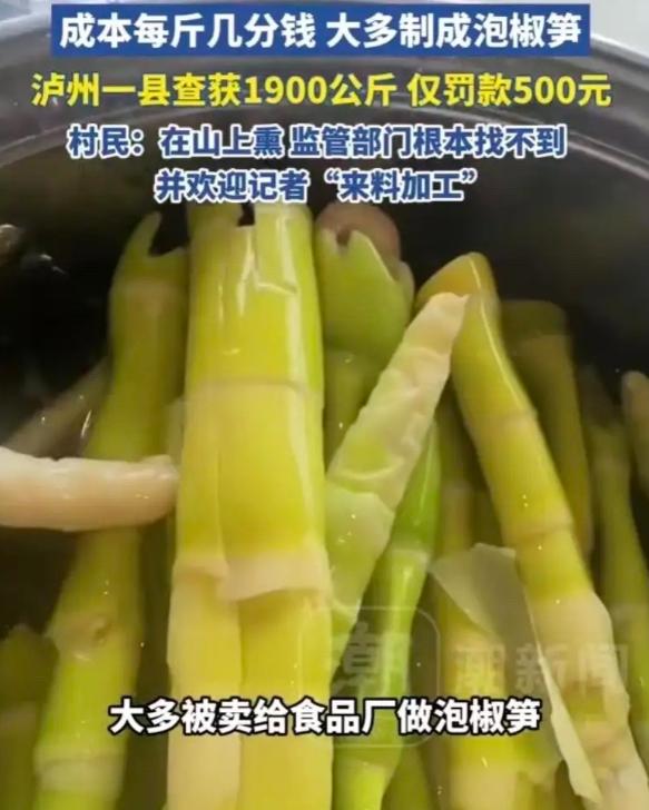 “上人民日报了！”四川，记者暗访发现，当地村民直接在山上用硫磺熏竹笋，熏过的竹笋