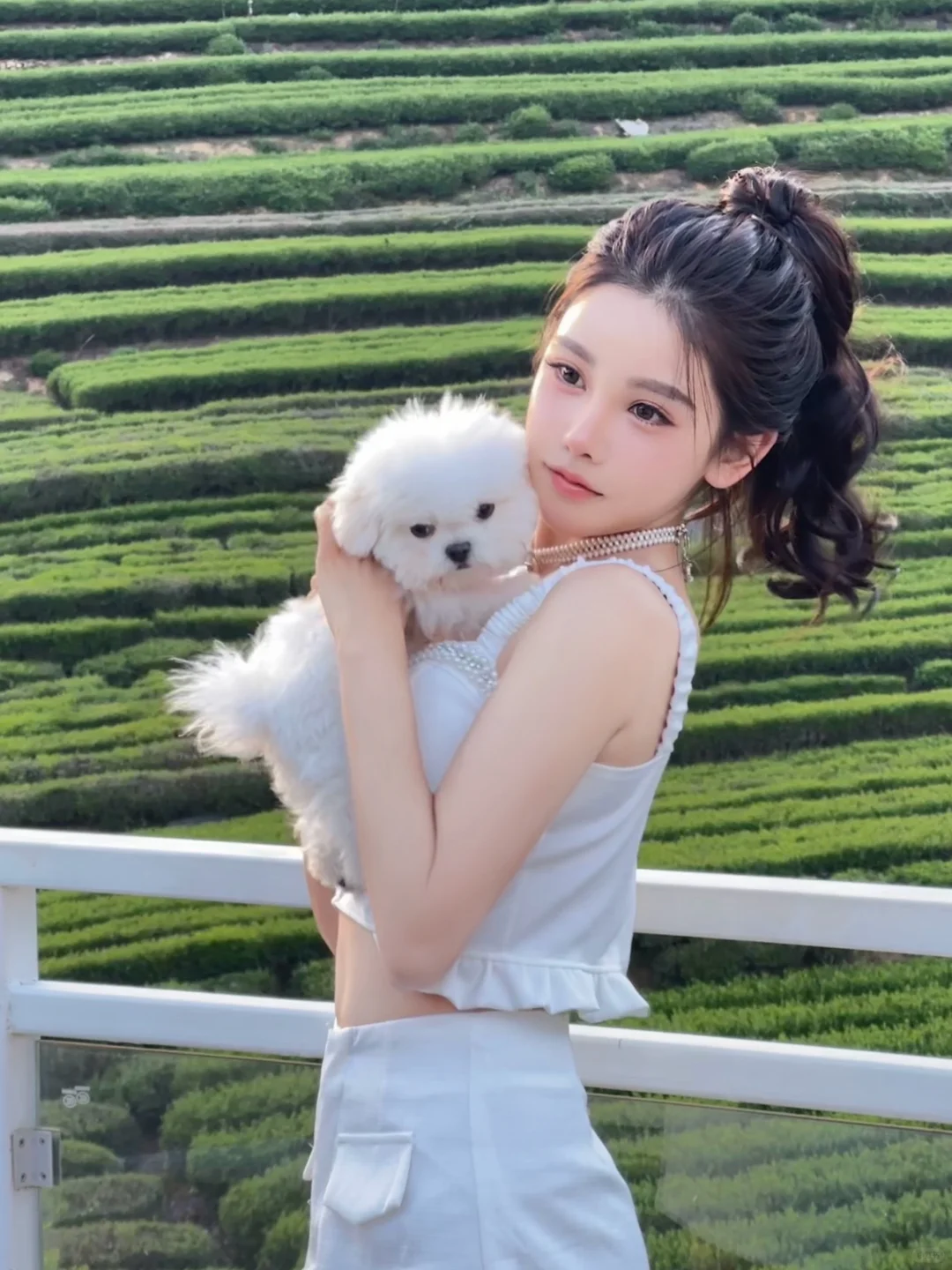 又是和修🐶的一天！