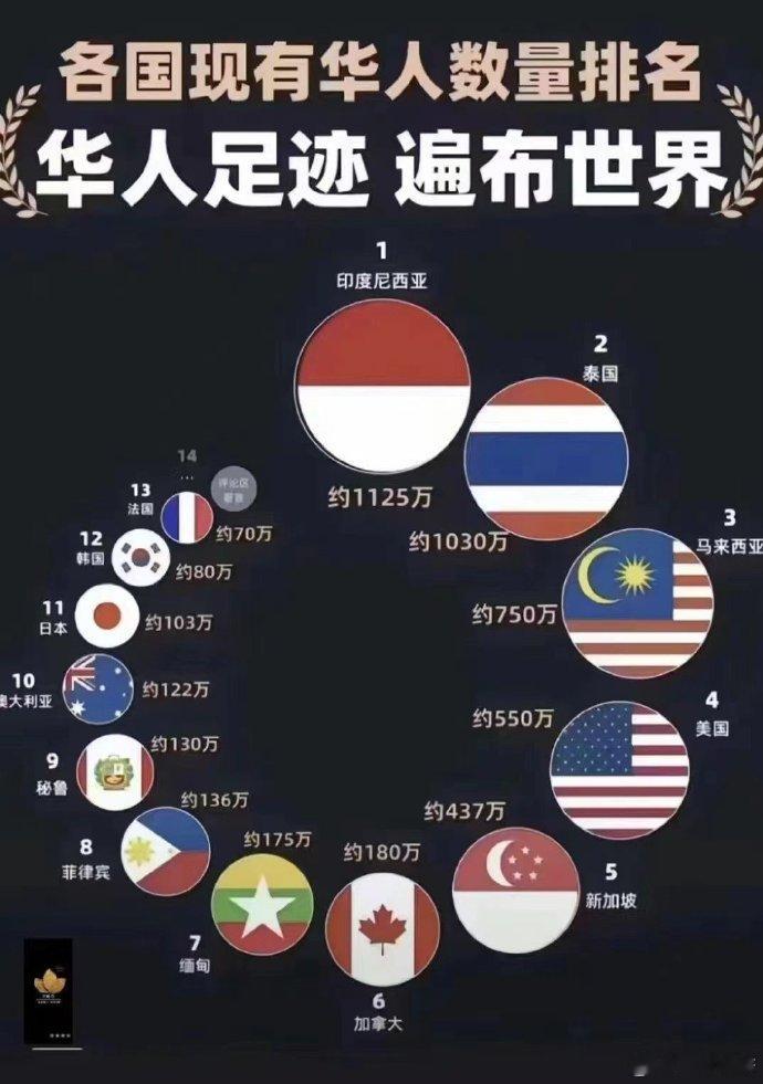 #看图说话# 现有各国华人数量排名。 ​​​