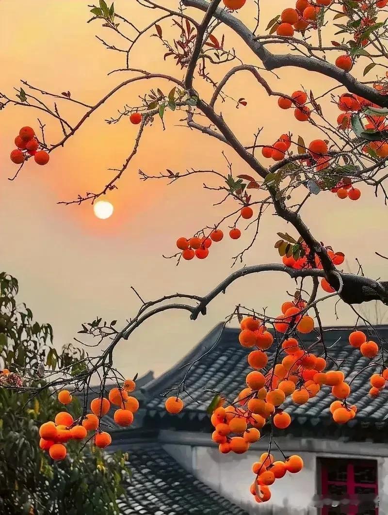 你有没有发现，
再过115天，不到4个月
就要跨年了。

这时间快的让人恍惚。