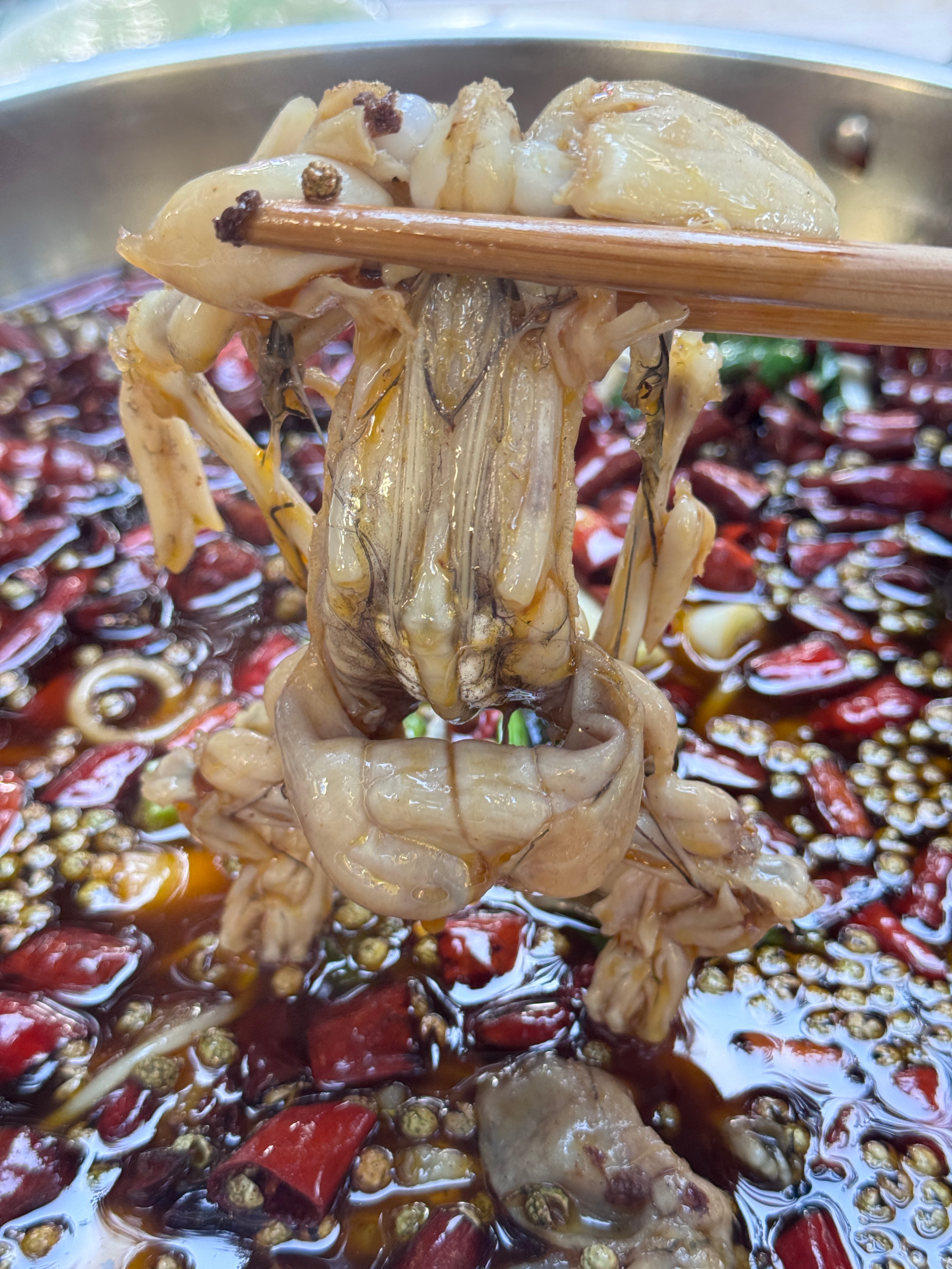 来重庆吃了好吃的蛙蛙说是敖瑞鹏推荐的，所以我赶紧去搜了一下还是很好吃的我的日常p