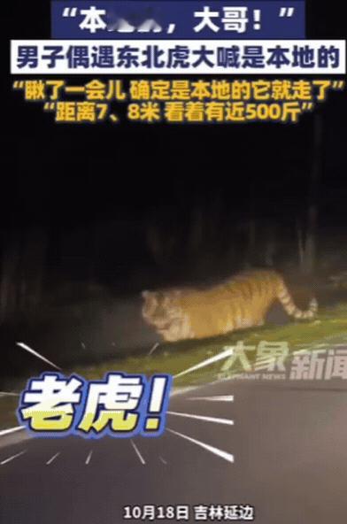 解释不清了！近日，吉林一女子晚上打车回家，结果，司机开到一偏僻处，突然停车！女子