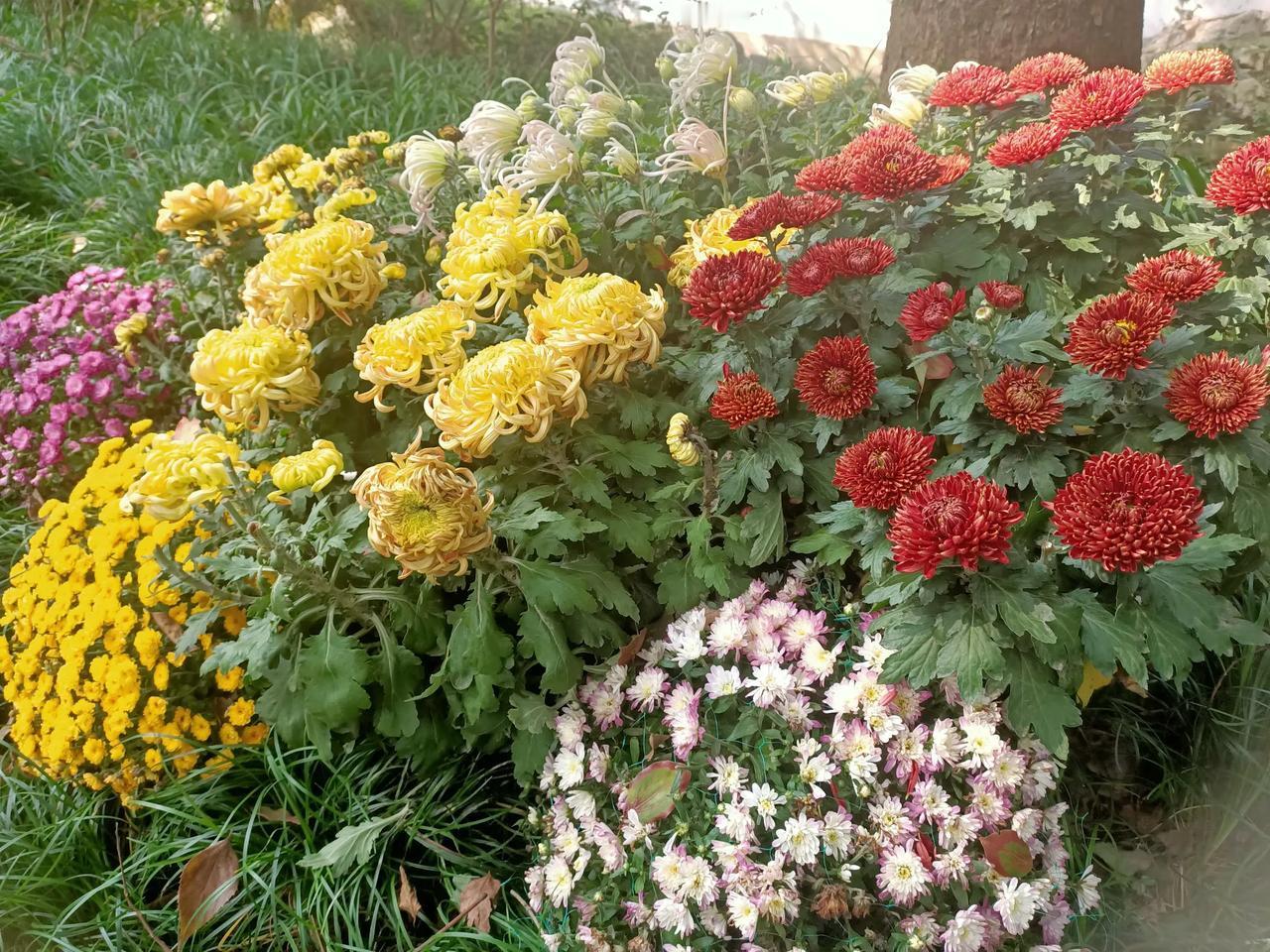 #拍一张我的城市美景#`…