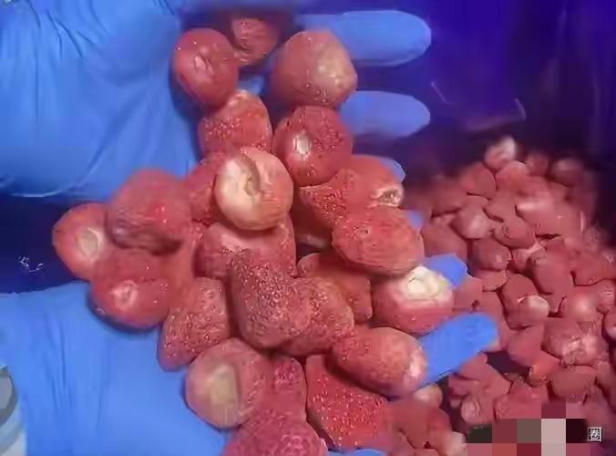 看到冻干草莓的新闻，我瞬间崩溃了，看着冰箱里的两大包冻干草莓，瞬间没了胃口。
这