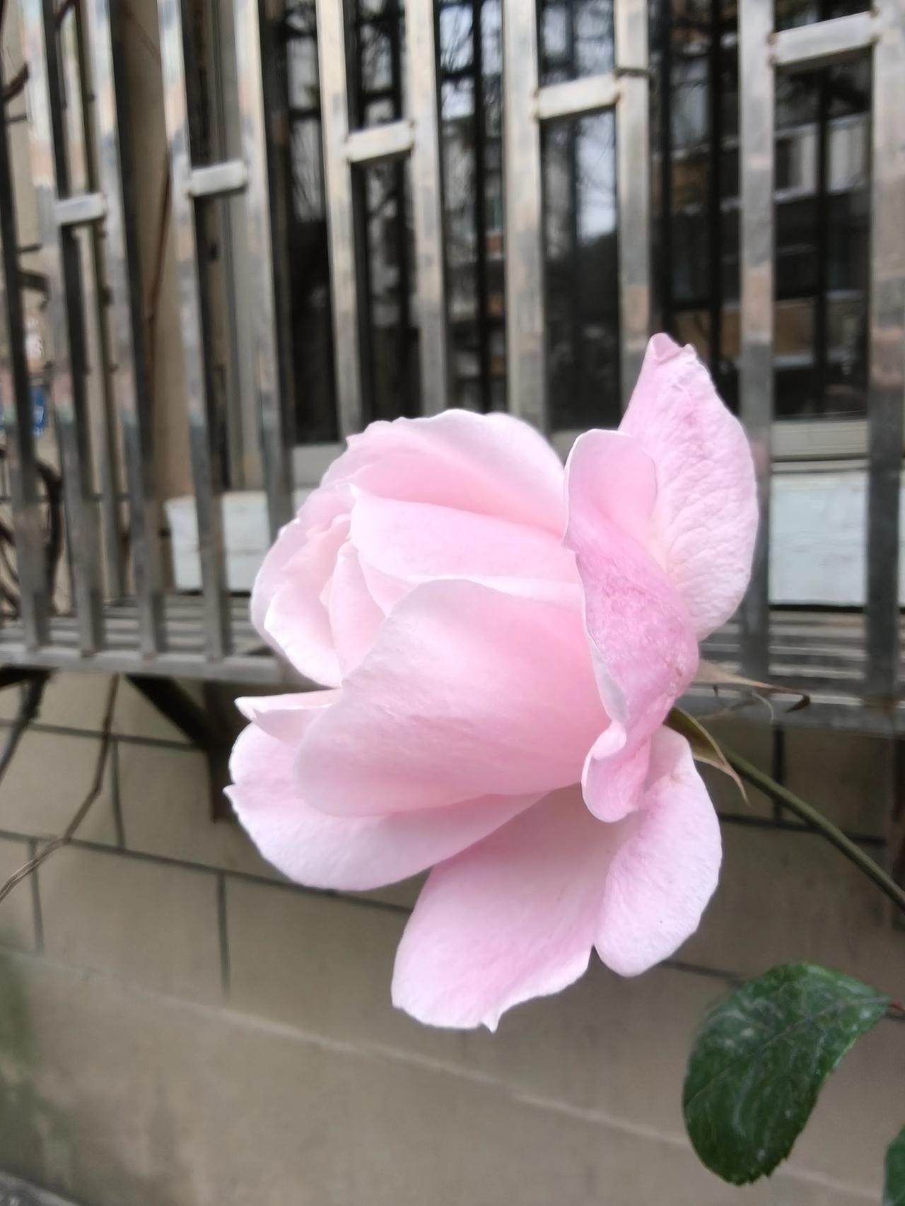 70岁老人的心里话：其实，我并不愿意和年轻人一起住

身为老人，养育子女成人后，