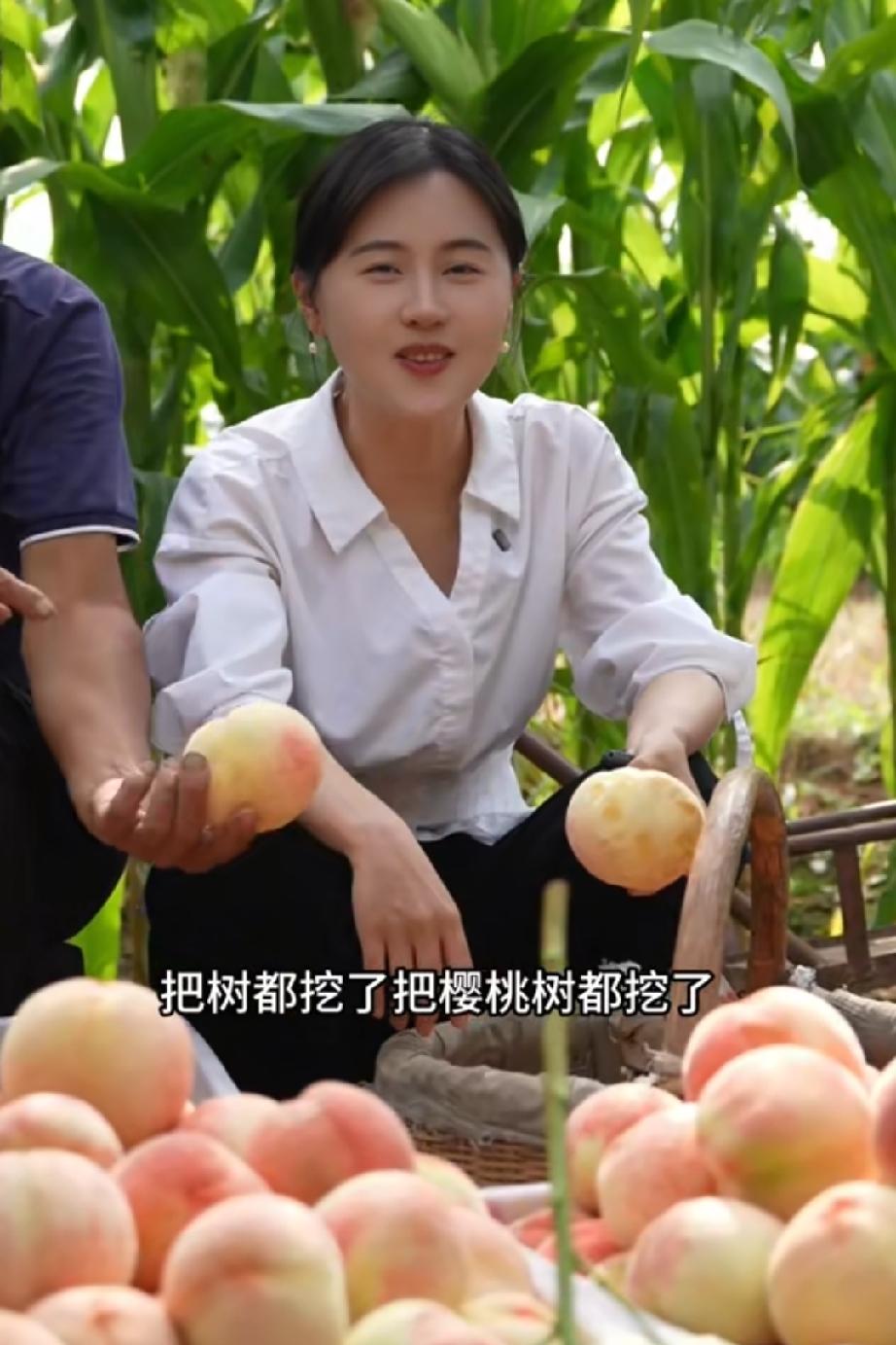 相宜博士真不该回村卖桃子，不管卖的便宜还是贵，卖的好与不好都会引起争议。
   