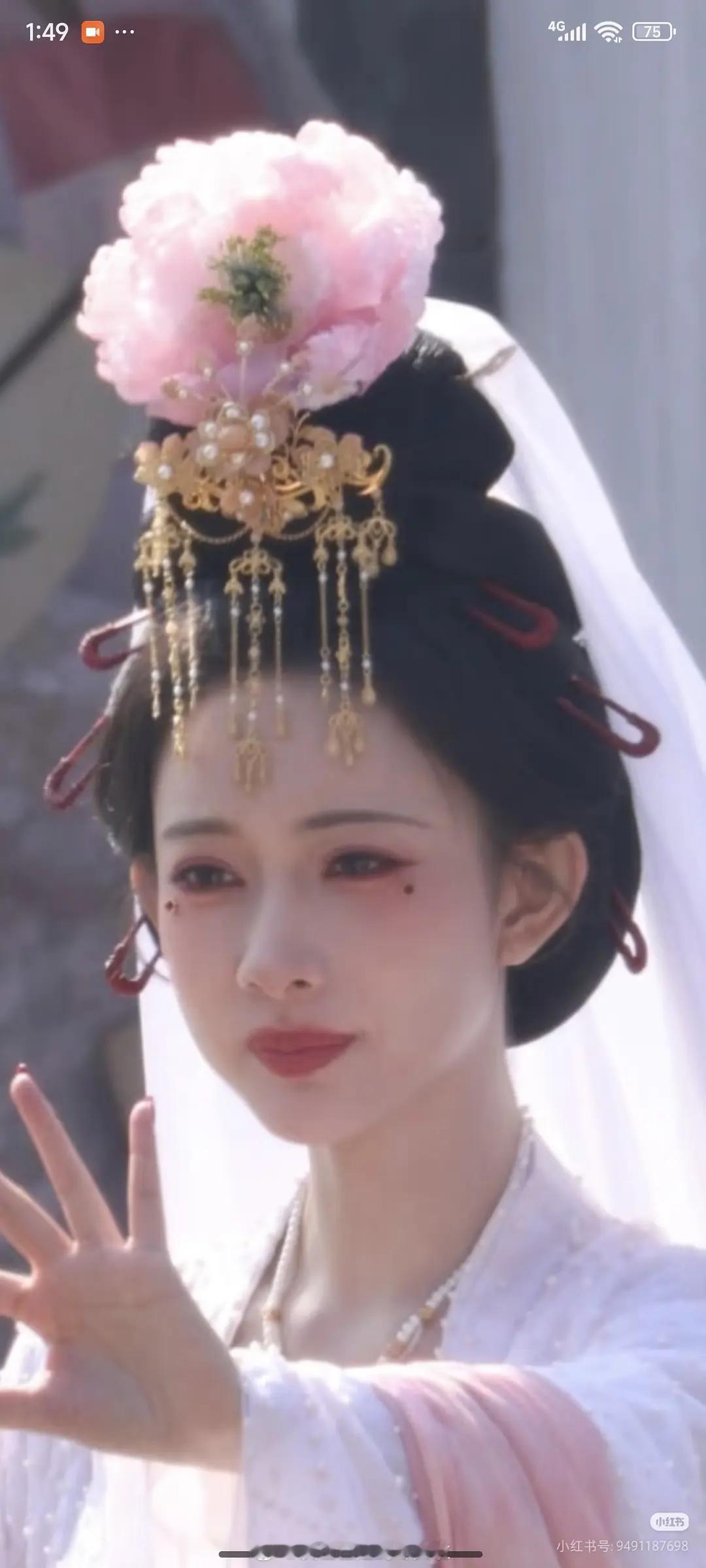 孟子义尚公主 这个造型，评价两极分化，你觉得如何？喜欢的：人间富贵花，唐代俏公主