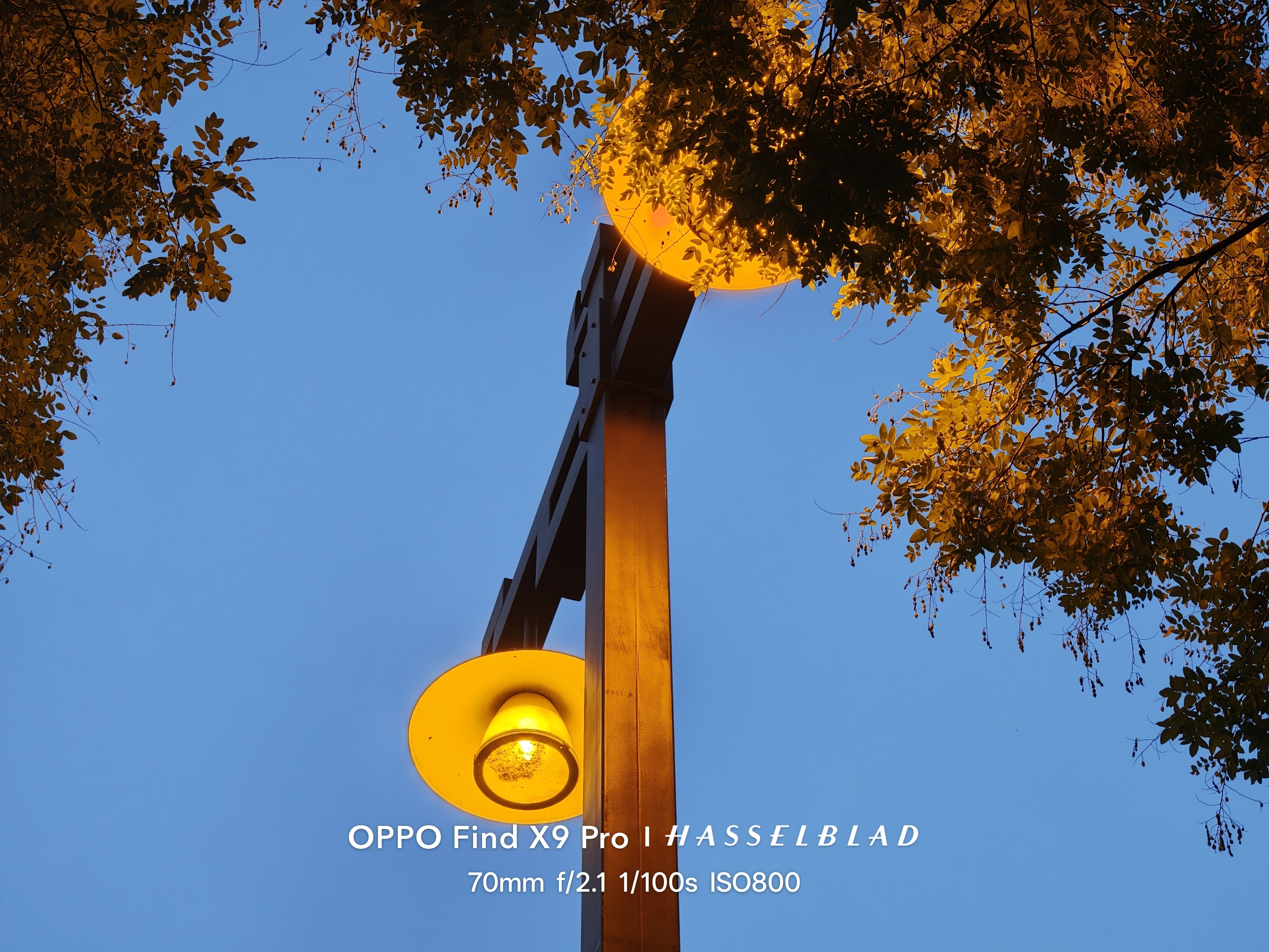 早啊，OPPO Find X9 Pro随手拍，用上新手机之后，拍照欲望也强烈了。