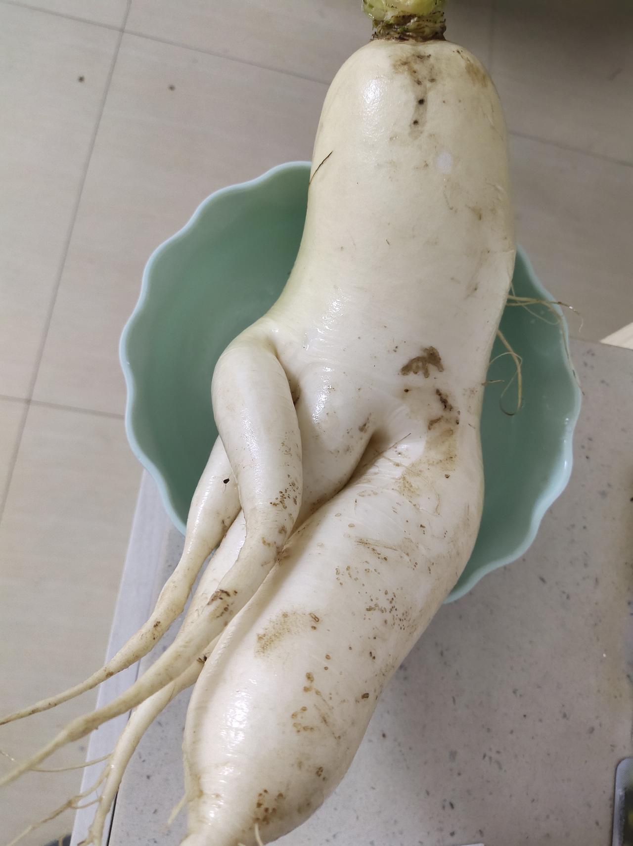 老人卖的白萝卜全是人参状，不知是种子的原因还是别的什么原因

傍晚逛菜市场，见一