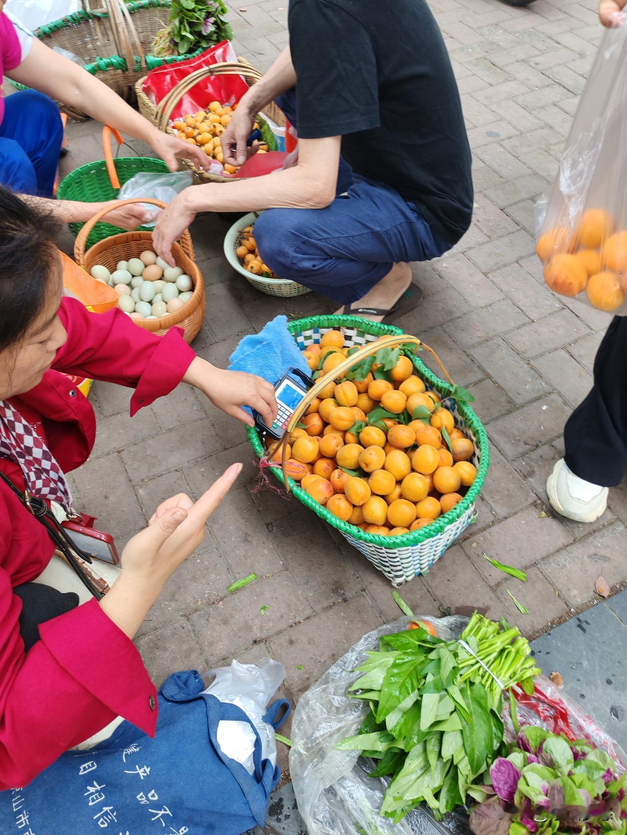 近日，枇杷和杏子上市了。京山街头马路摊，枇杷卖6元/斤，杏子卖8元/斤