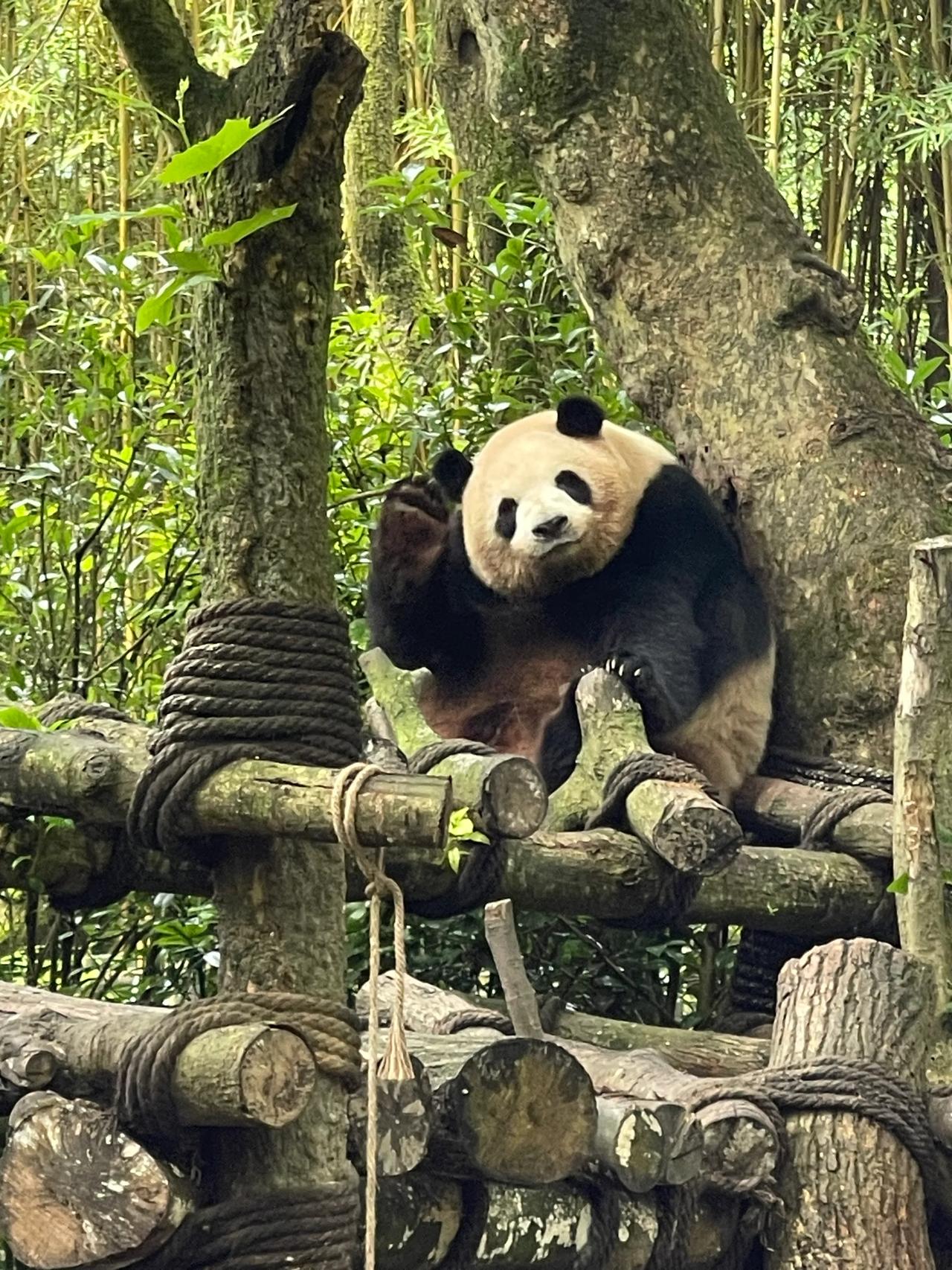 急风骤雨的一夜寒凉拉低了热烈的体温。
依然昏沉的早晨多了几分雨后的清新气息，步行