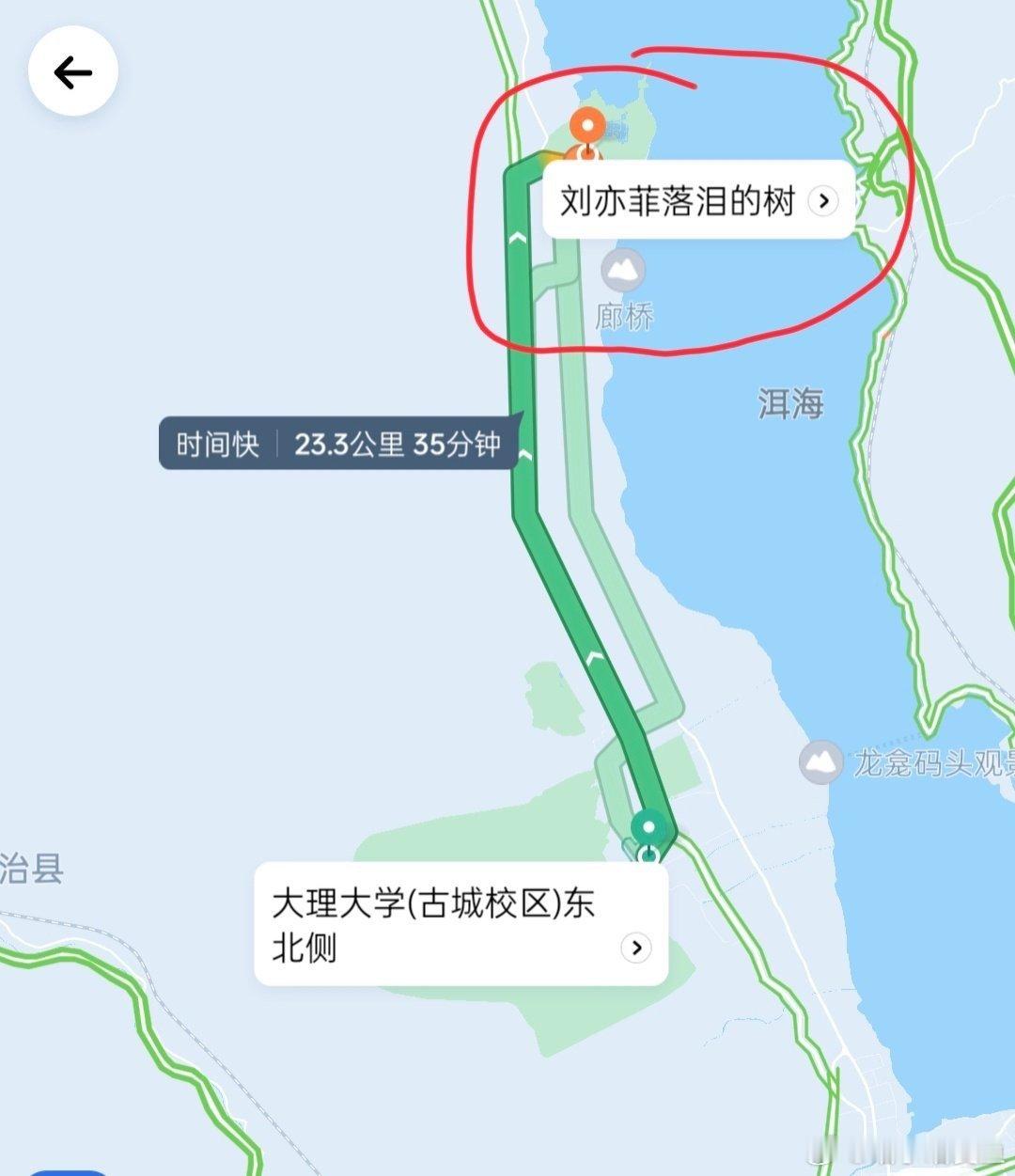 又有人刚发现 刘亦菲落泪的树的地标[笑cry] 