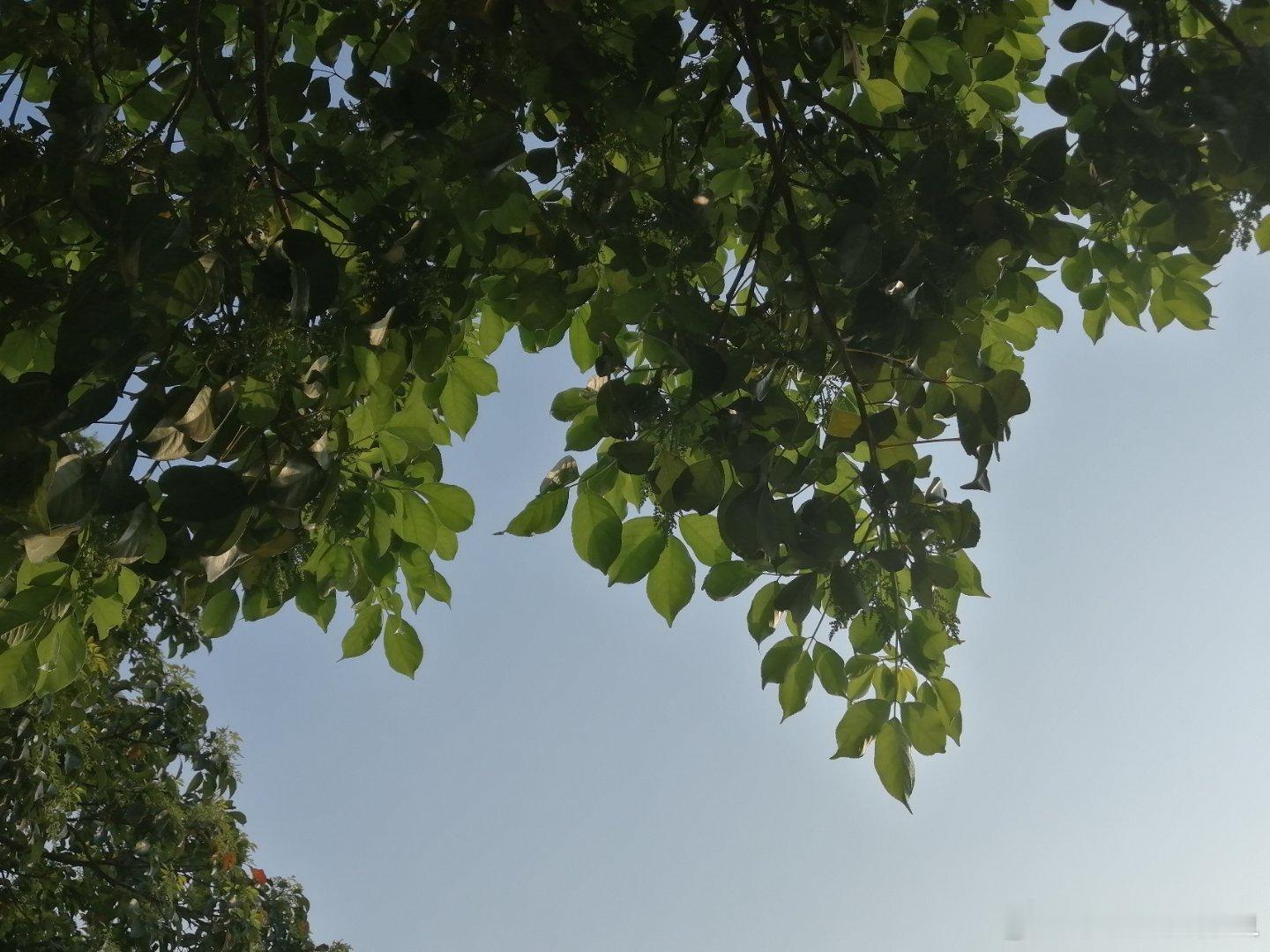 生活手记新生，新的开始，新的希望，新的机遇，一切美好正在发生。 