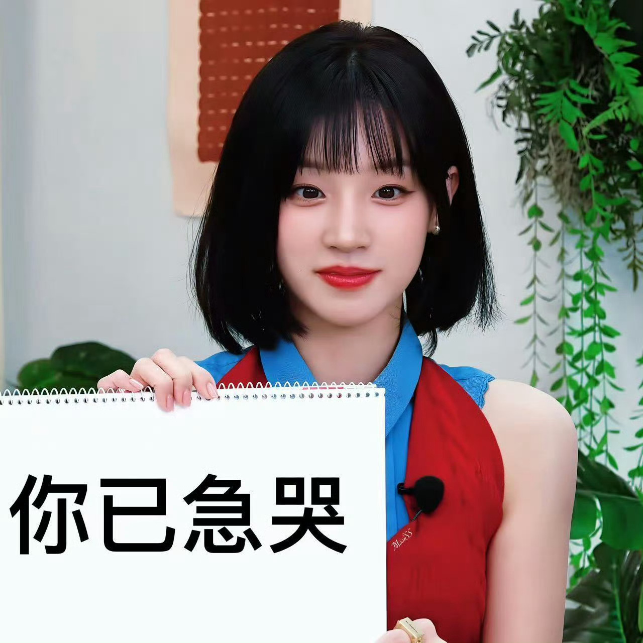 分享图片 