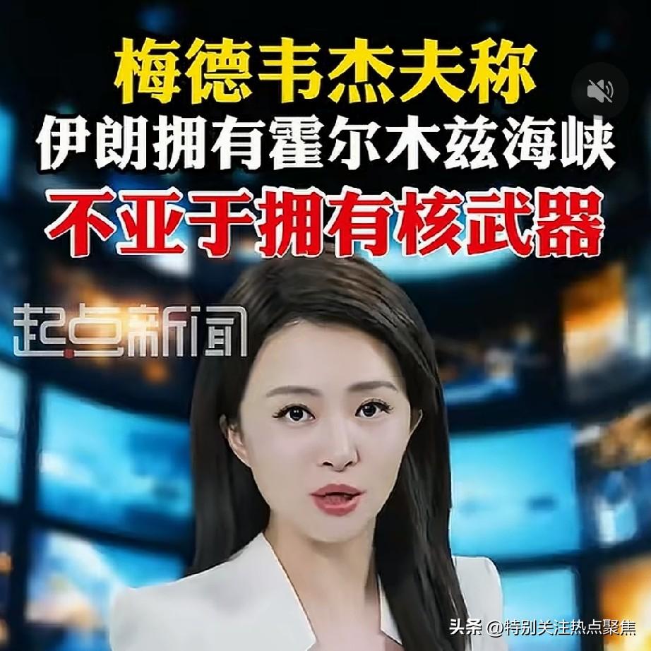 伊朗已经拥有热核武器——霍尔木兹海峡。梅德韦杰夫称，伊朗拥有霍尔木兹海峡不亚于拥