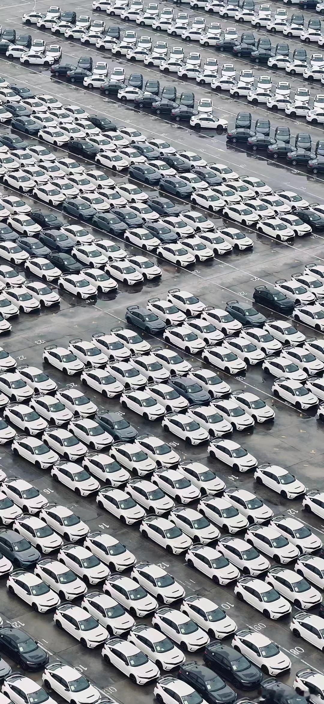 怪不得FL5最近打折卖[喵喵] ​​​