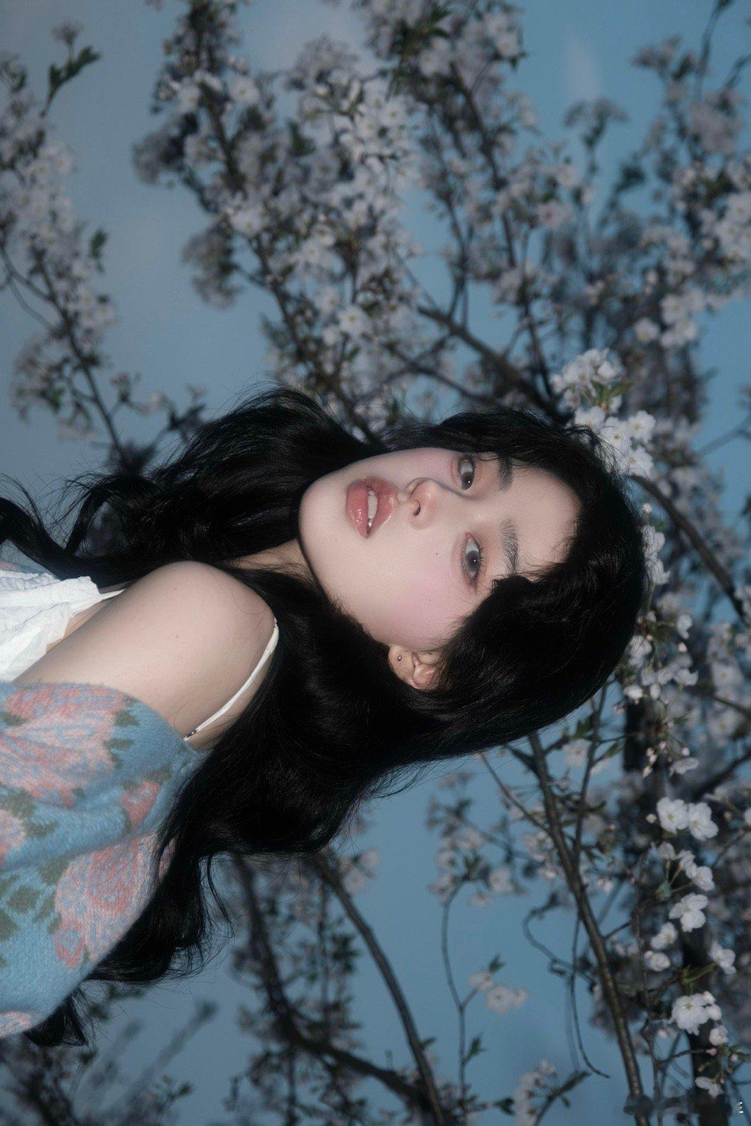 夜樱 ​​​