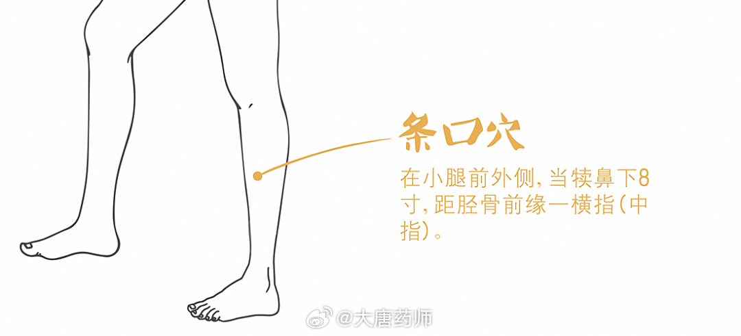 肩膀痛，按腿上一个穴位就缓解，功效强大！01在小腿部有一个名叫条口穴的穴位，它又