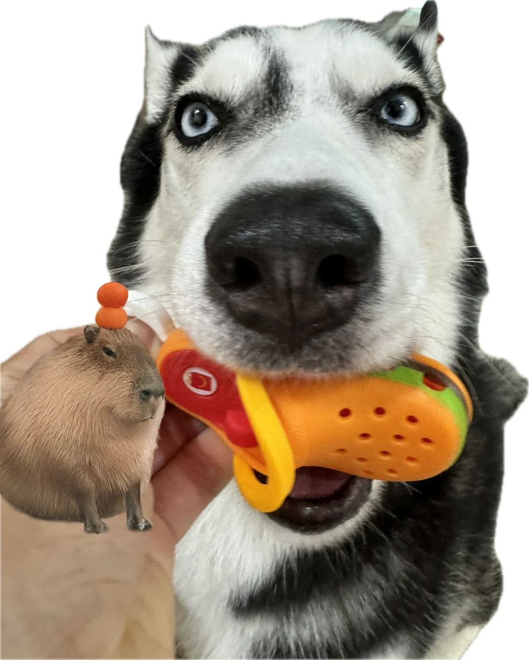 这么可爱的一张脸 居然有人…