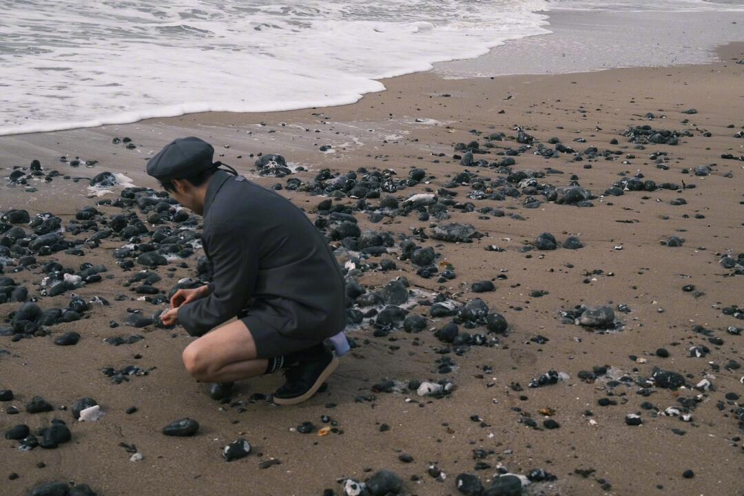 是谁被 翟子路 多我一个自由的人怎么了 狠狠戳中？是我！他在白崖迎着海风奔跑，像