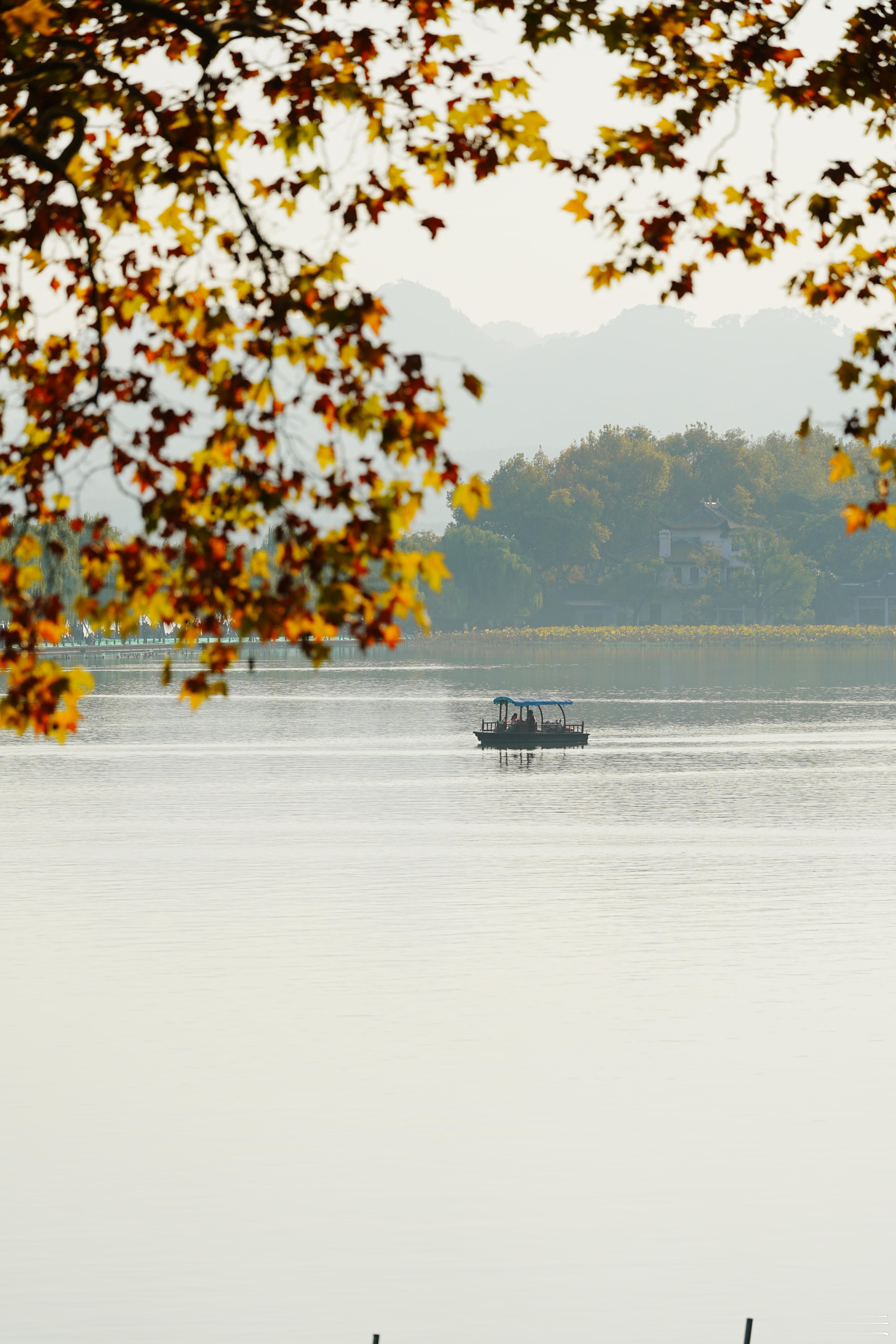 【指令：提高照片的通透性和氛围感】怎么感觉豆包更能听懂人话。或许指令再长点、仔细