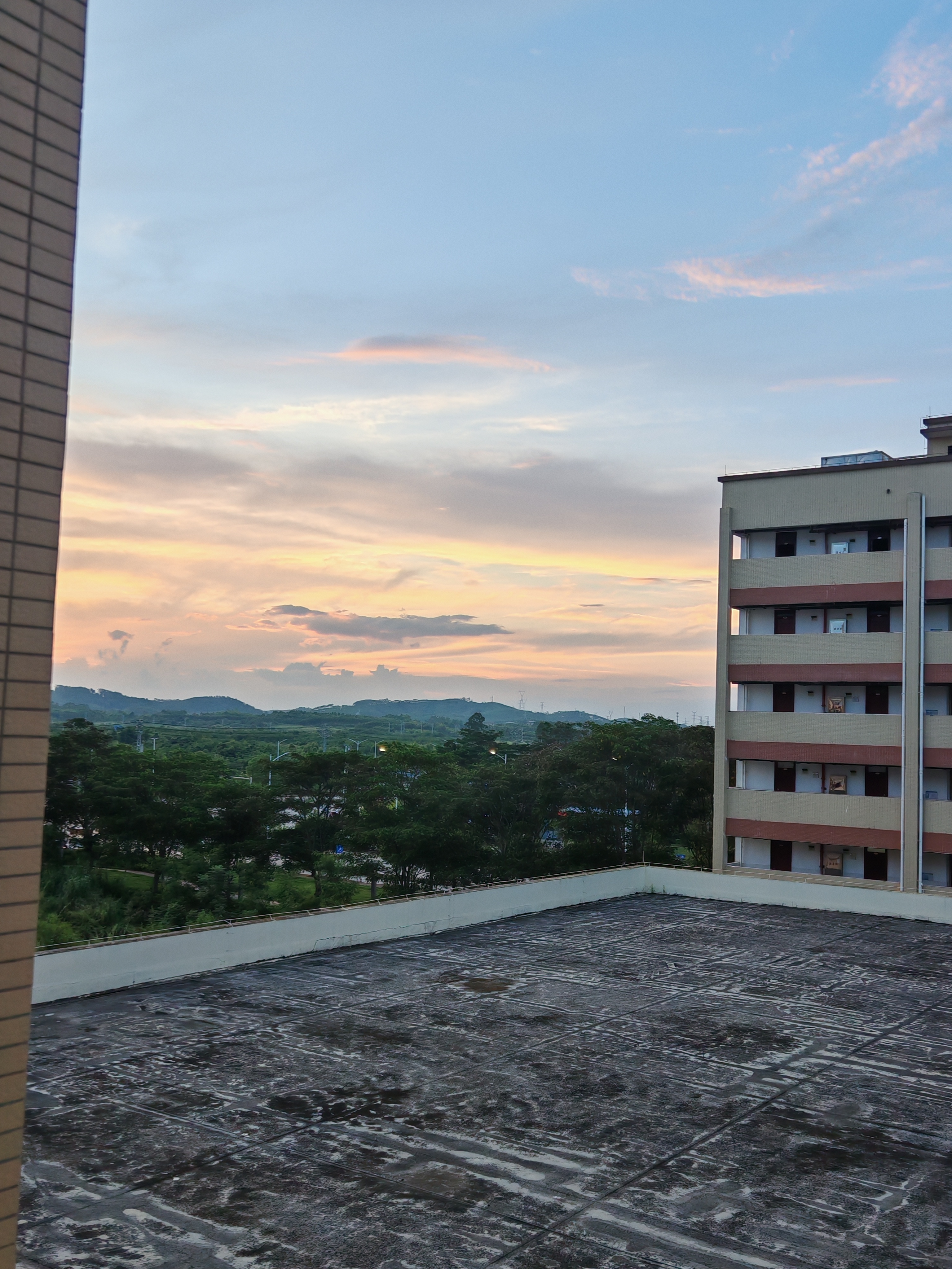 下了一周的雨 好久没见到夕阳了 今天的天很粉