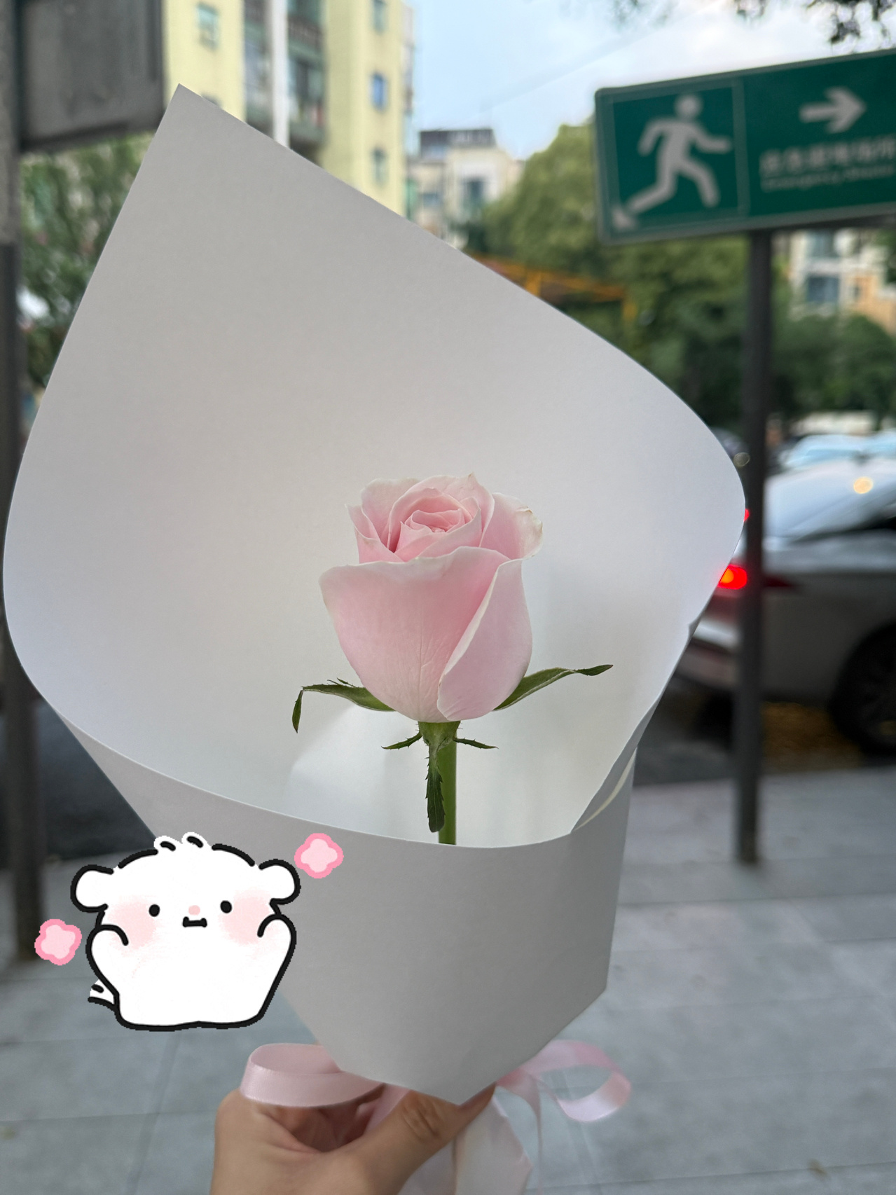 又是一个普通又平静的傍晚✧⁺⸜(●˙▾˙●)⸝⁺✧ 