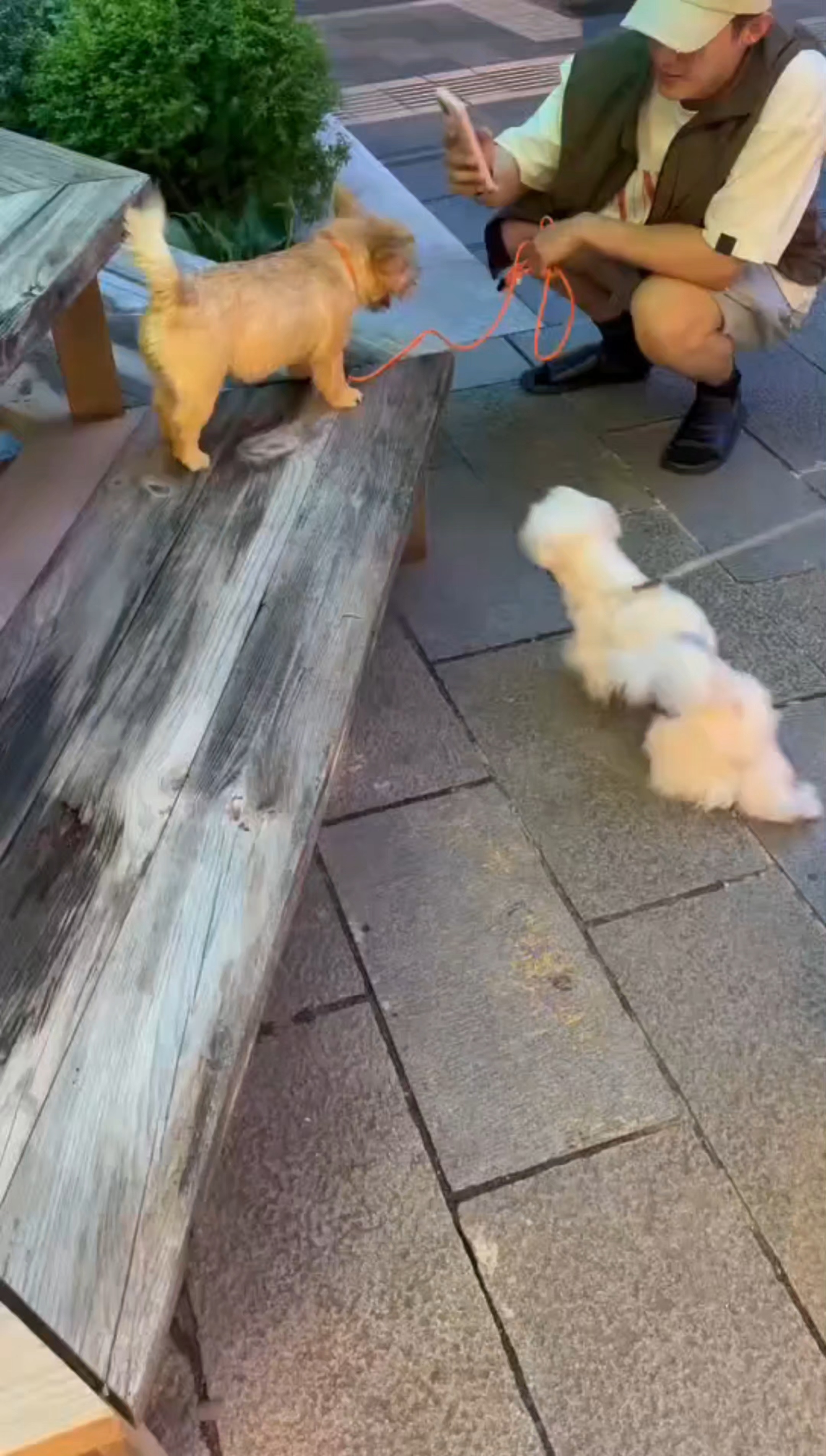 这才是“十年老粉没见过这样的黄景瑜” 你们其他人都弱爆了