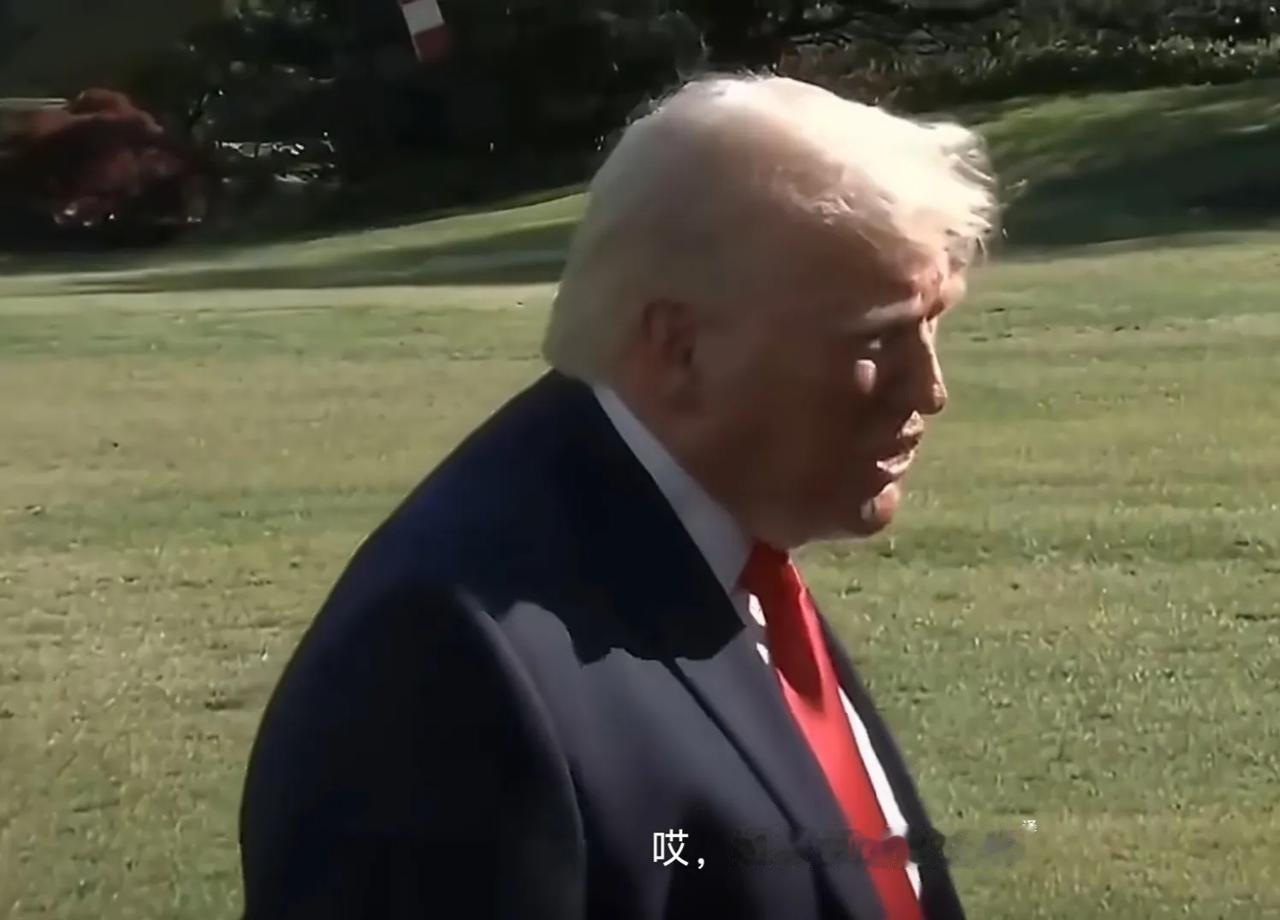 懂王除了嘴硬之外，啥啥都不行。对伊朗的战争，让全世界都看到了美国“纸老虎”的本质