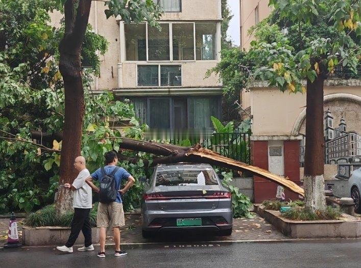 小汽车下大雨停在哪里最安全？？？