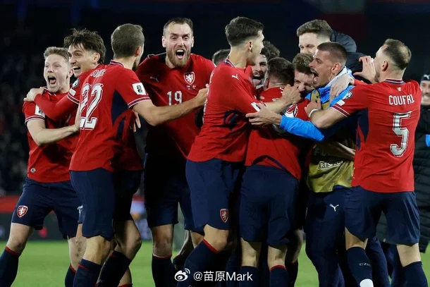 韩国首个对手是捷克，最近又两连败，举国痛骂洪明甫，看到捷克高人太多，克雷伊奇（1