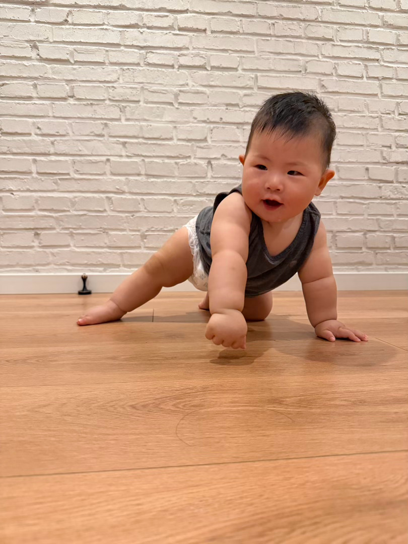 臭小子啥时候看的蜘蛛侠 