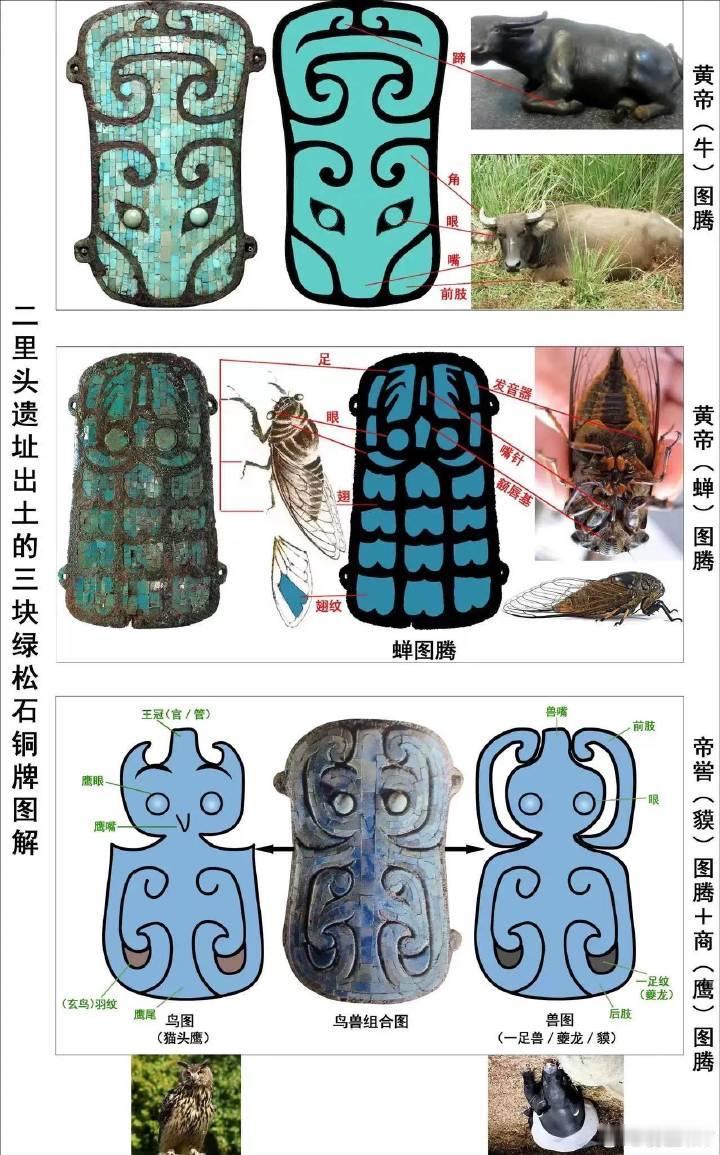 逐条反驳“二里头=夏”的10条证据

翁卫和围绕二里头遗址，逐条拆解主流逻辑：