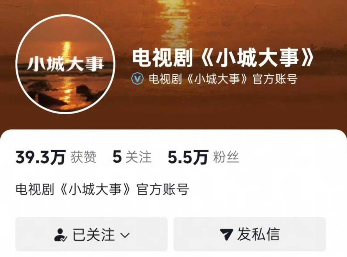 赵丽颖造城者改名成功了，小城大事，一听就故事感拉满，说实话挺想看的。 