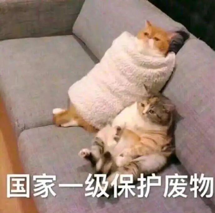 姜乘澜欠税39.5元被公告点进来之前以为至少是39.5万