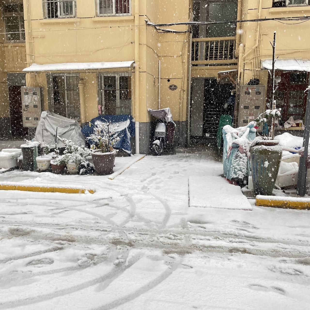 复工第一天，小途这里下了超级大的雪❄️
等下班要和大途打雪仗去啦！