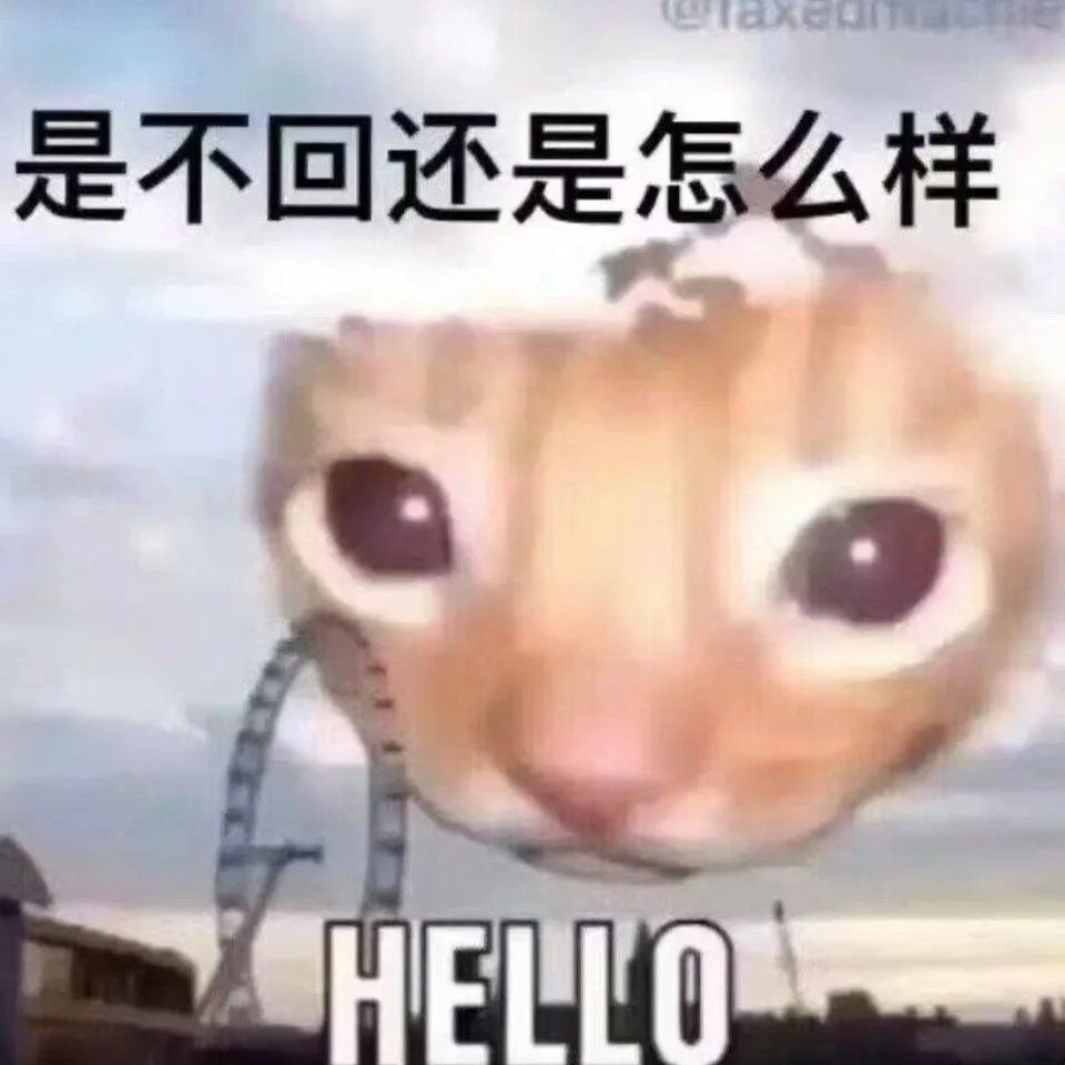 丰富一下你的表情包 