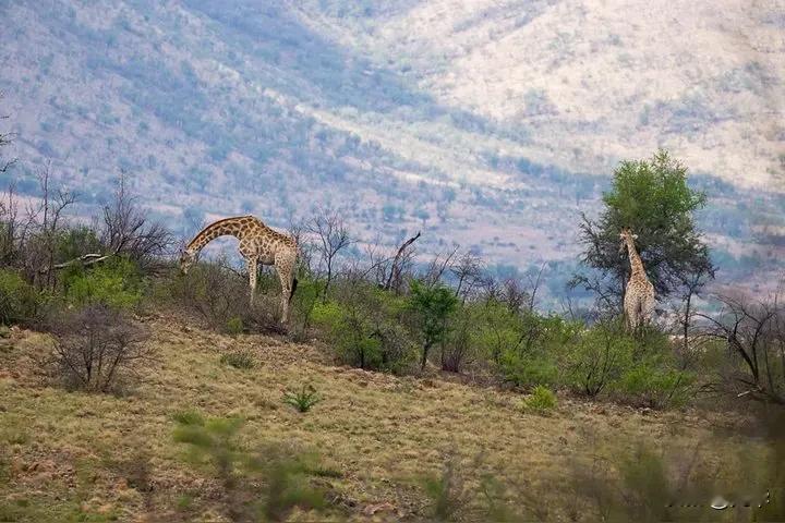 不要轻易和别人讲道理，除非你做好了和他大干一场的准备！讲道理只是先礼后兵的步骤而