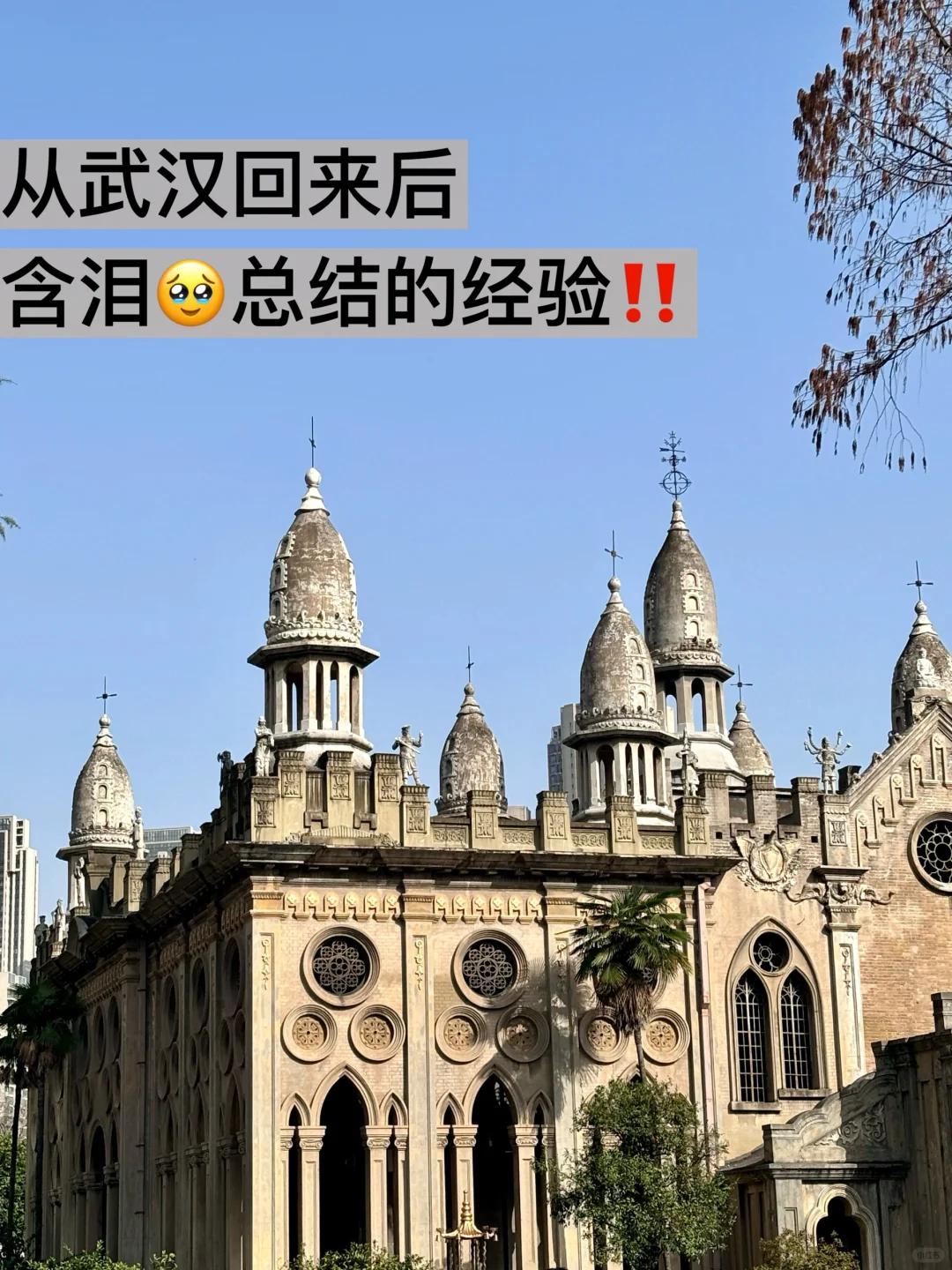 从武汉回来了，真的要劝退不做攻略就来的人