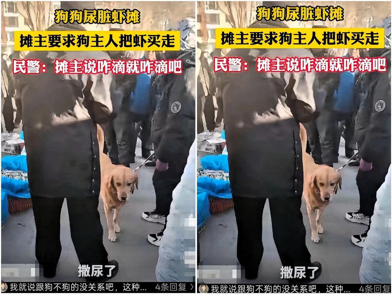 狗主人出来遛狗，狗在别人摊位前撒尿，滋在摆放的售卖虾上。老板一看急了，你这一弄，