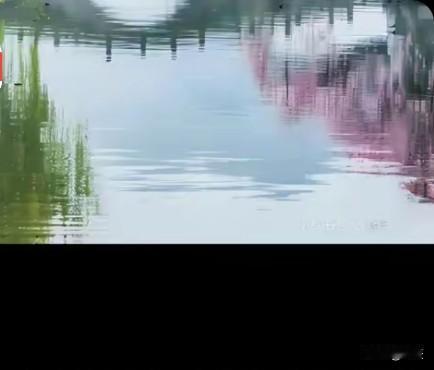 人与人的交往，本质是价值互换的双向奔赴，而非单纯的“相互利用”。你能提供情绪价值