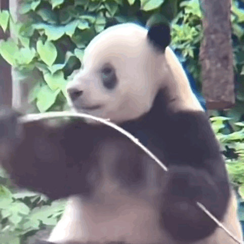 别人都发了P图一顿夸，我发了就骂俺 ​​​