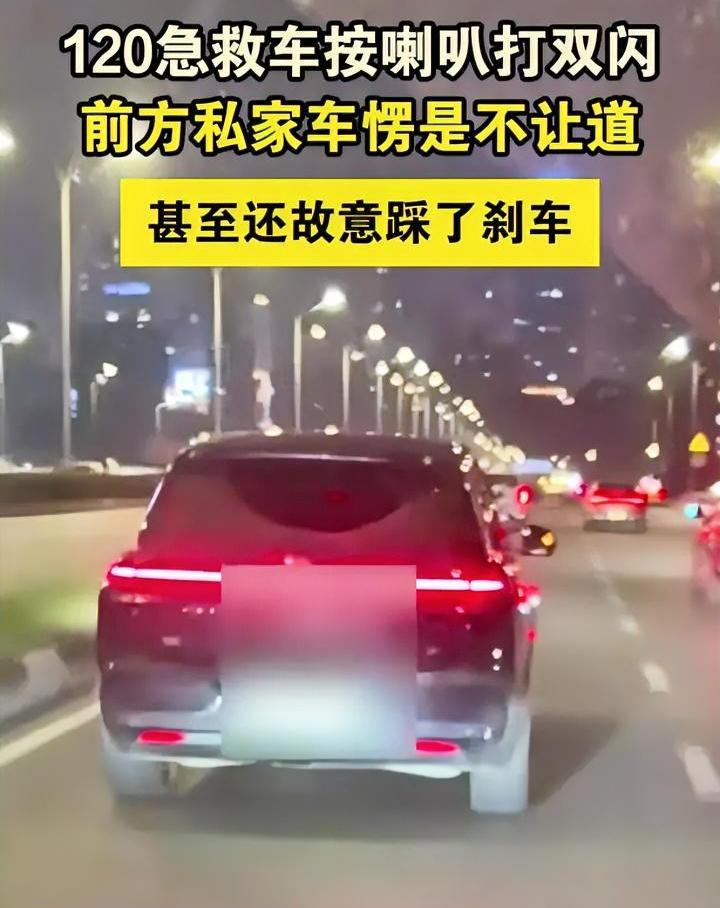 私家车故意阻拦救护车
车上是早产儿双胞胎急着转院
一分一秒都是性命攸关
结果任凭