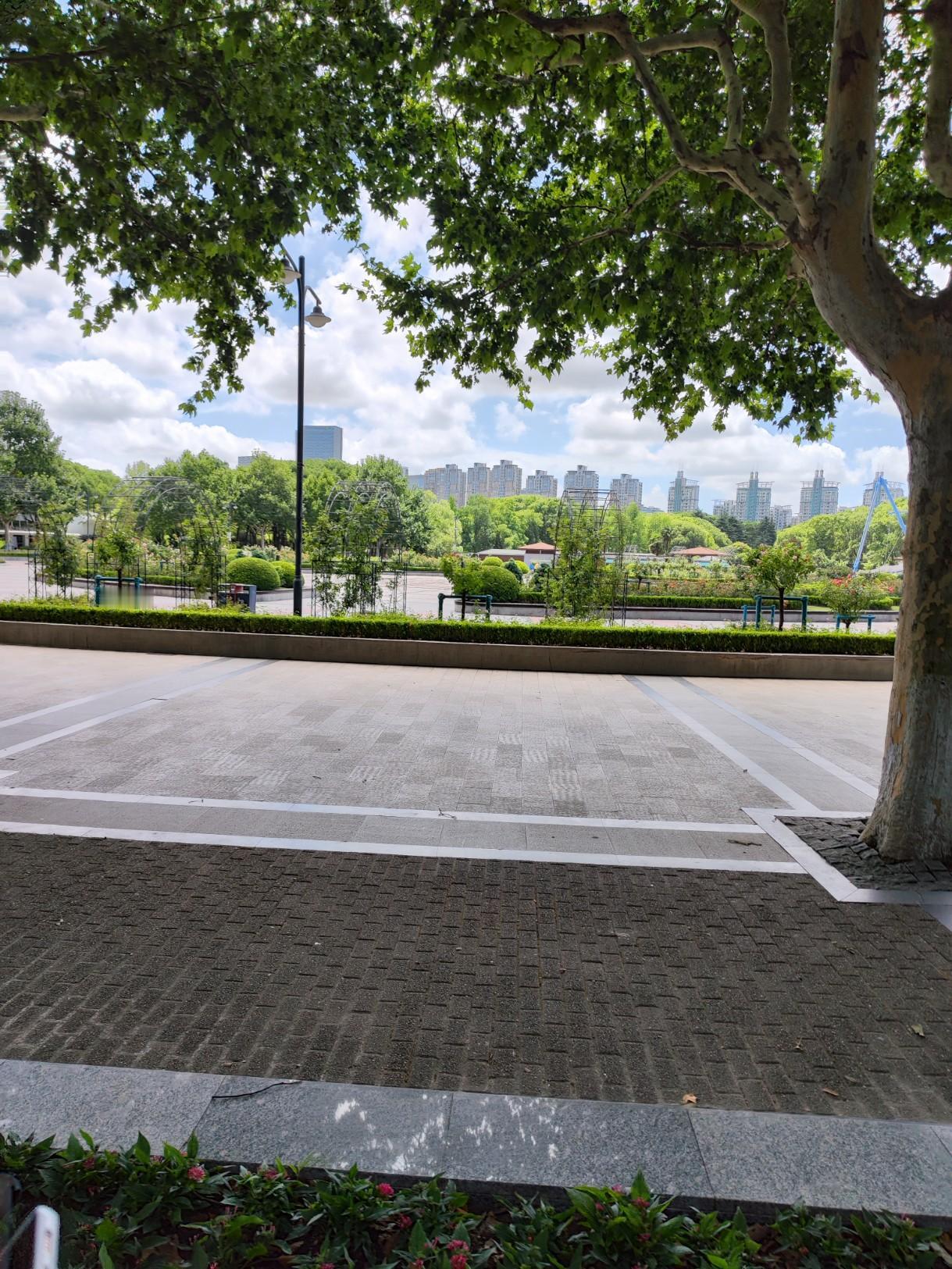 长相思 . 别离

夏蝉噫，
柳枝垂，
一纸素笺两别离。
烟江吹笛悲。
 
月横