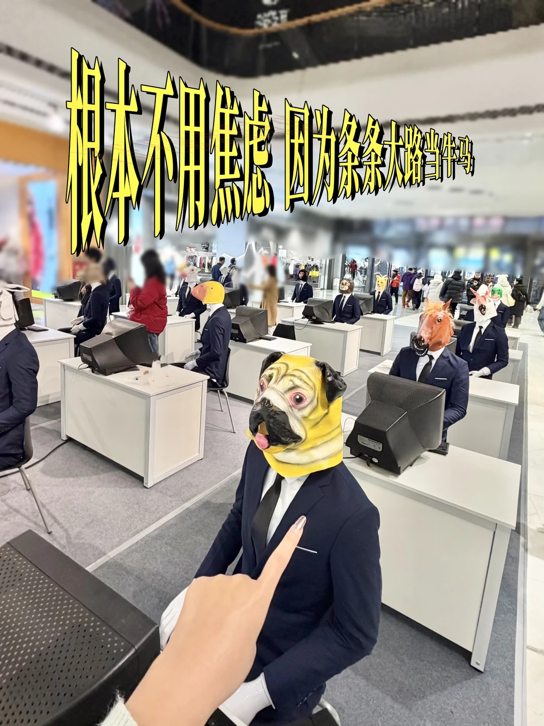 不知道，我的工资很好笑…长沙海信牛马展来了