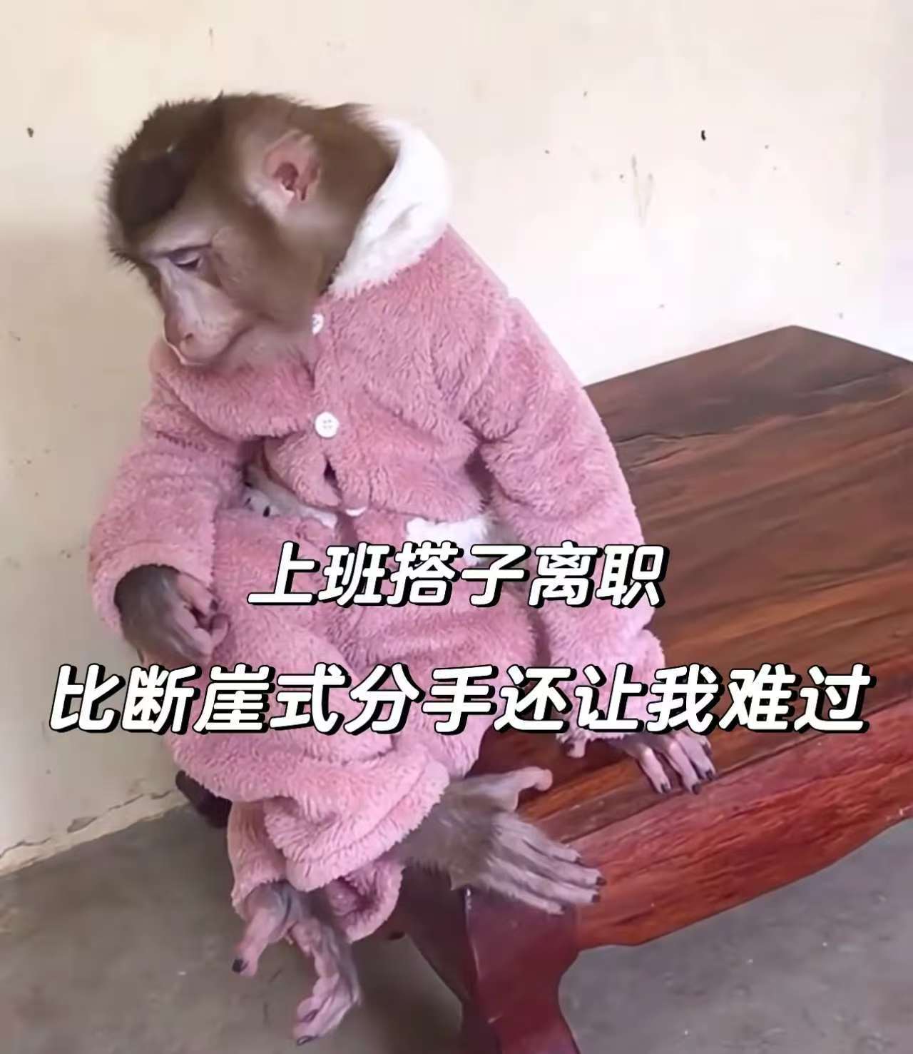 上班搭子离职后的我[苦涩] ​​​