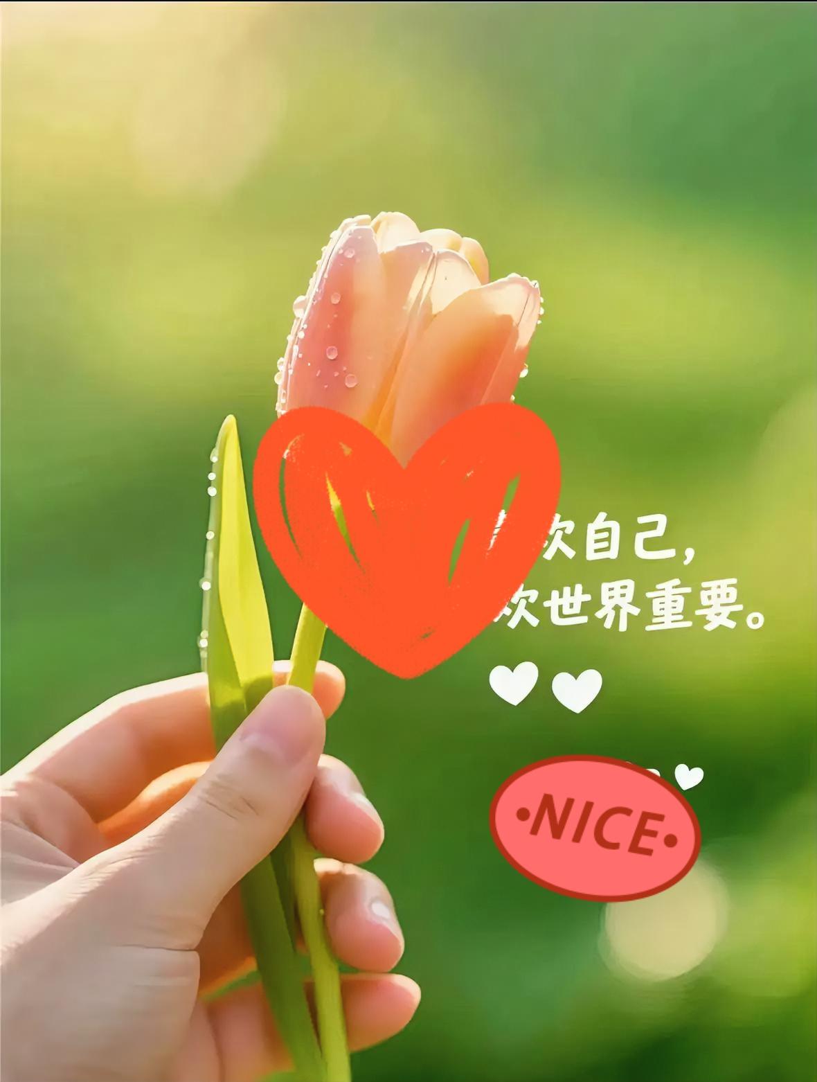 丙午马年，生机勃勃。爱自己就像养一匹马，你需要给它足够的草料（健康饮食）、宽敞的