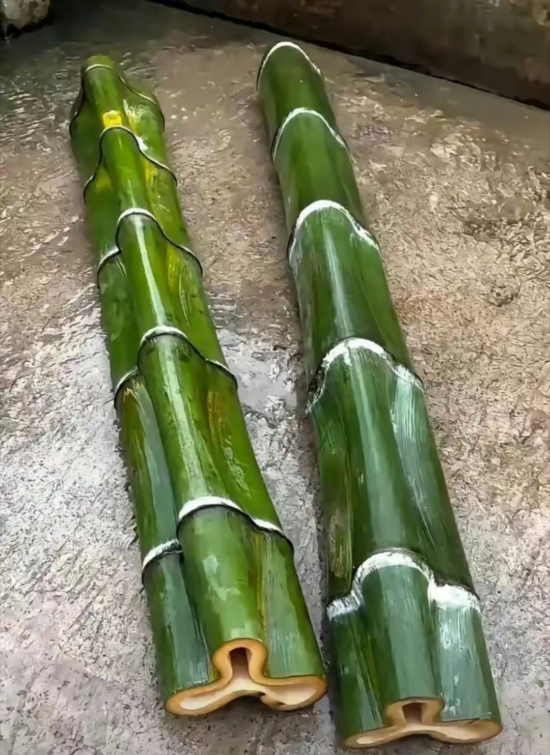 有一位村民在自家后山砍竹子时，意外发现了一种外形奇特的竹子。这种竹子不仅外观独特