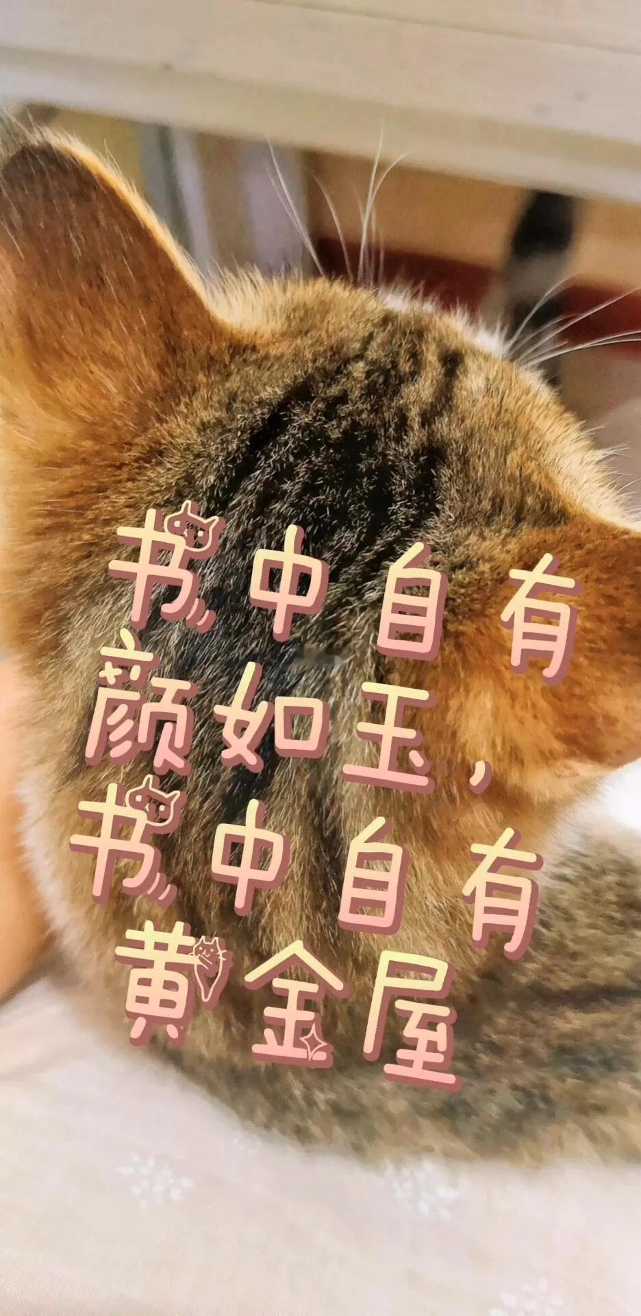[加油加油]书的传承与希望的找寻

“书中自有黄金屋，书中自有颜如玉”，这古老的